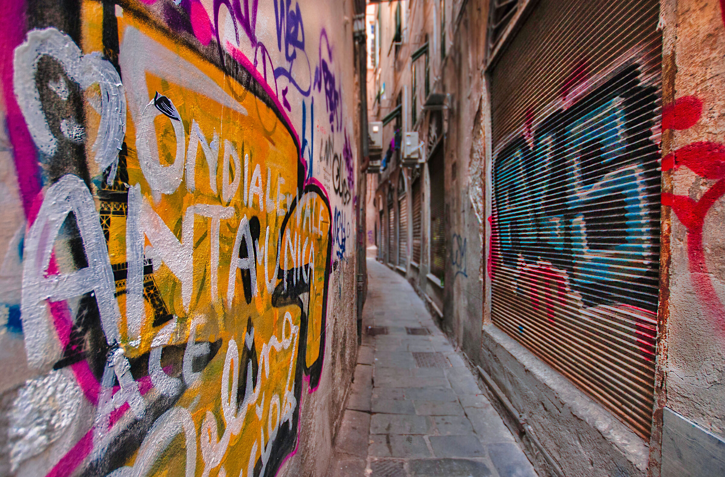 _Una Finestra nel cuore della città _ Genova
