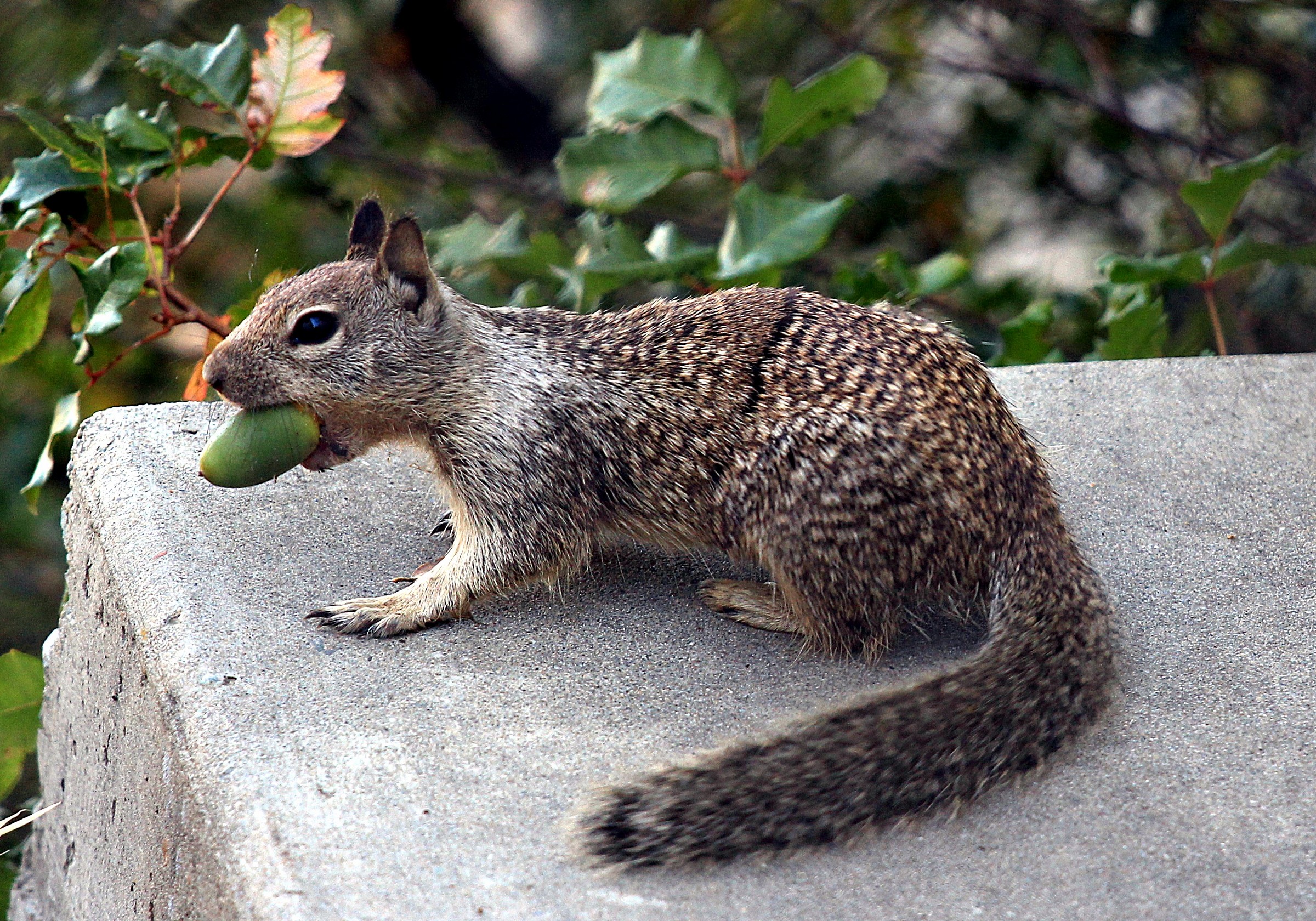 I have got a big appetite