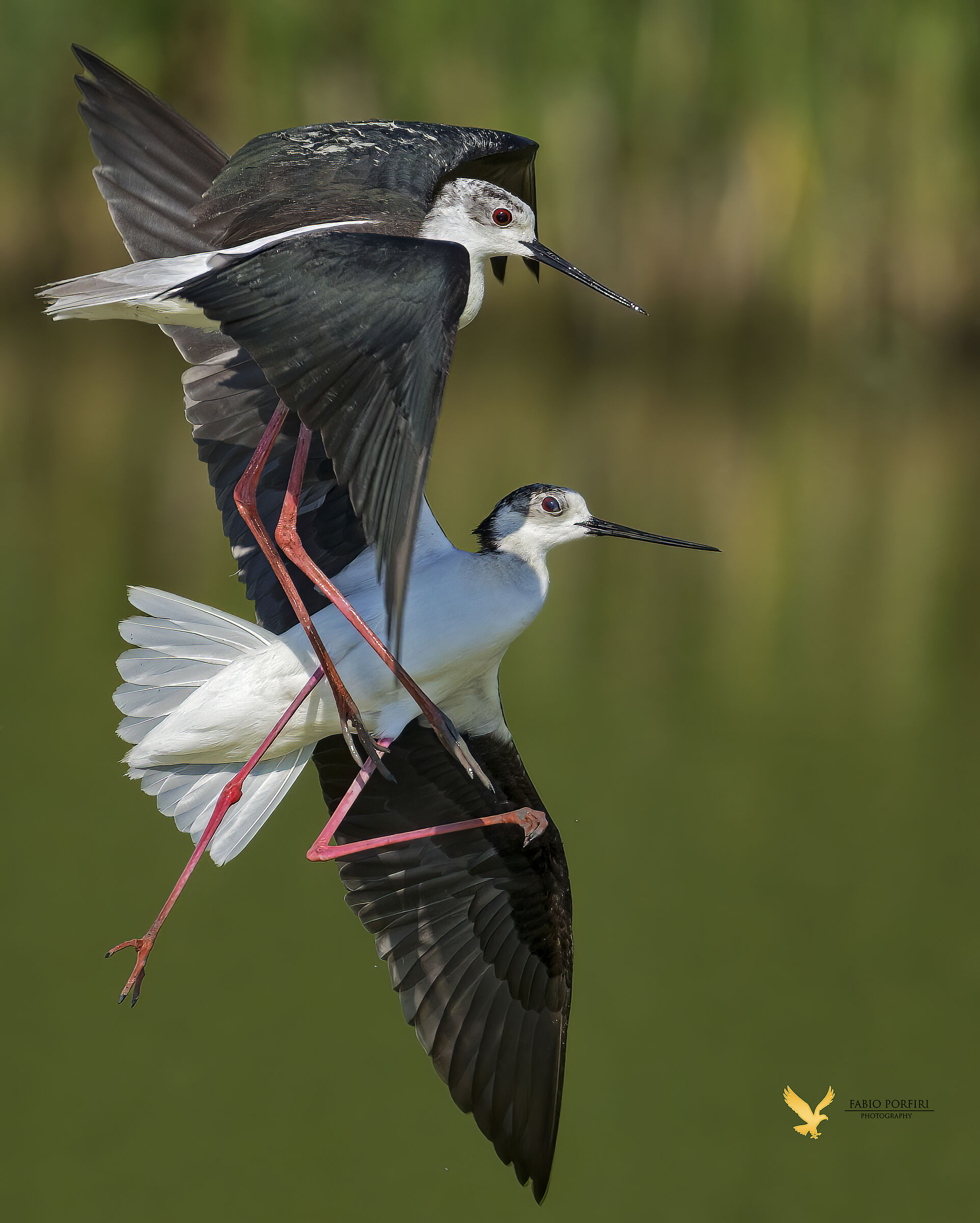 lotta per il territorio