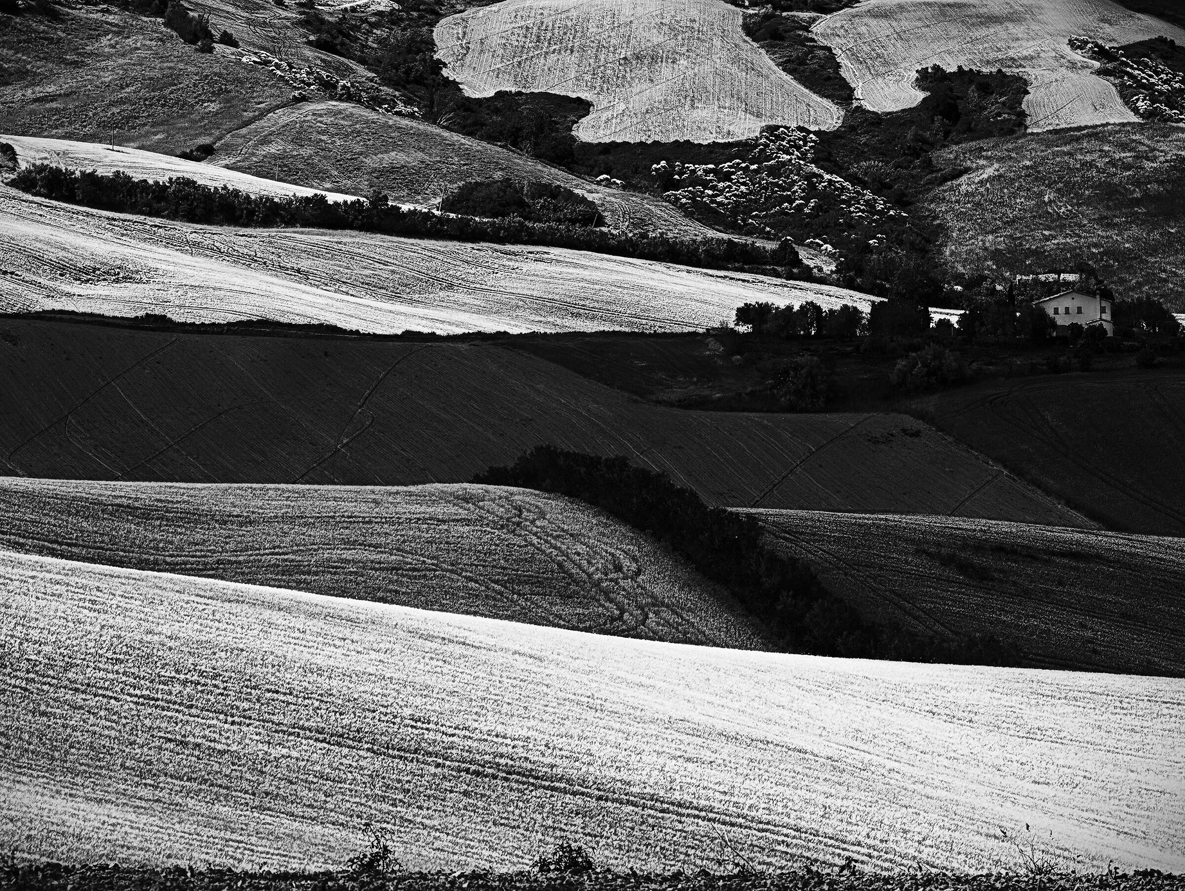 The hills of Marche .2