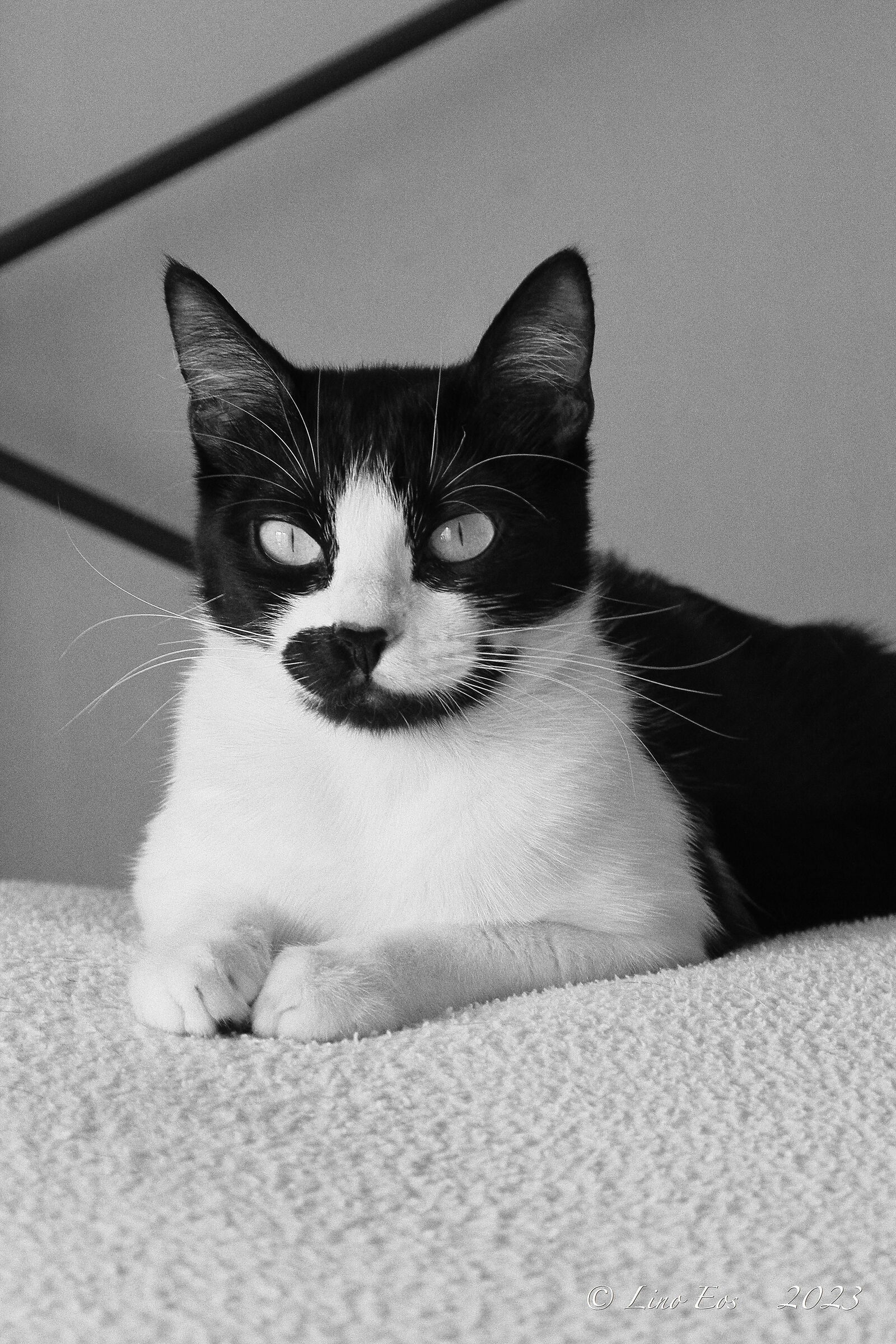 My sweet model.