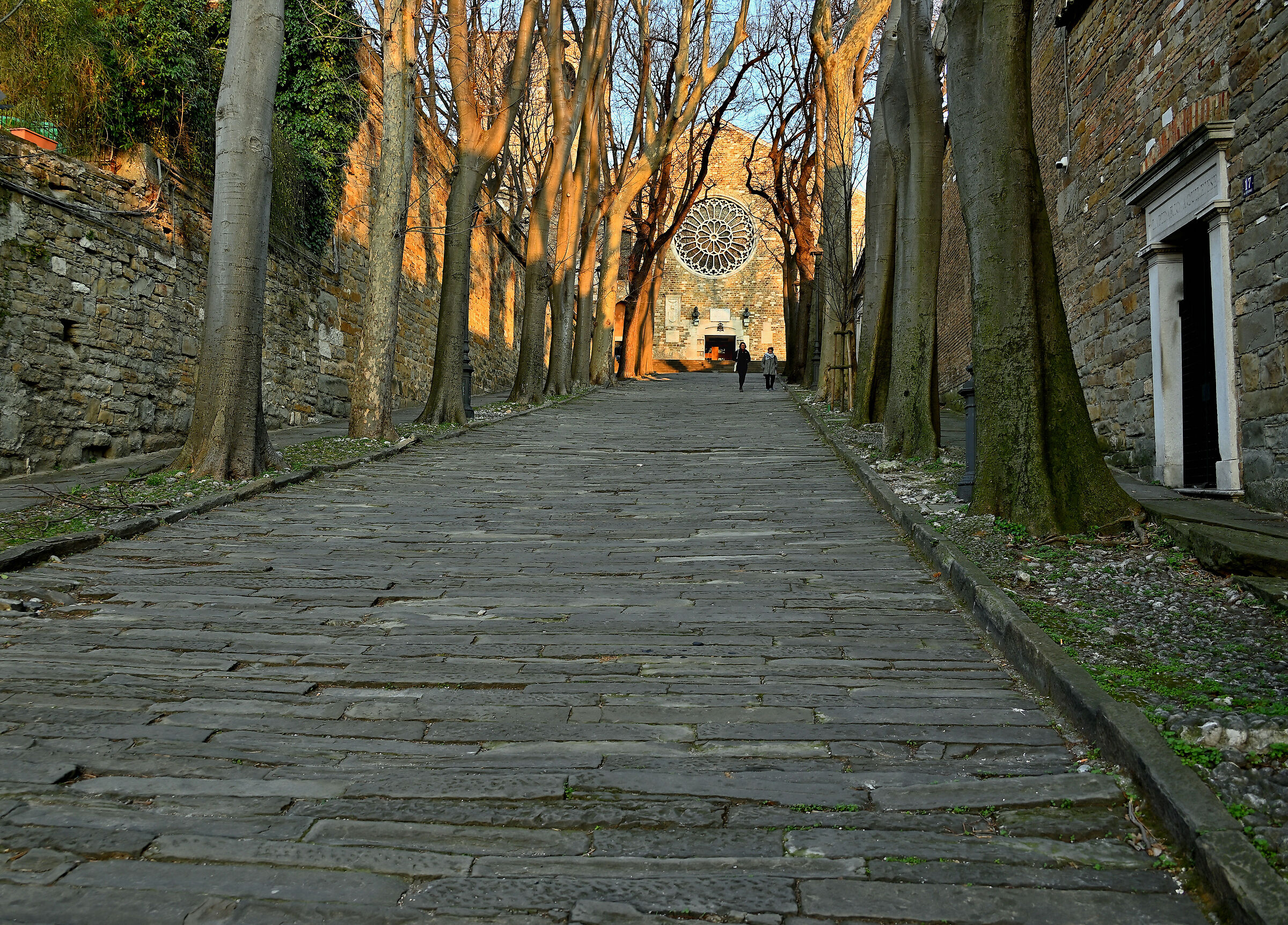 Trieste