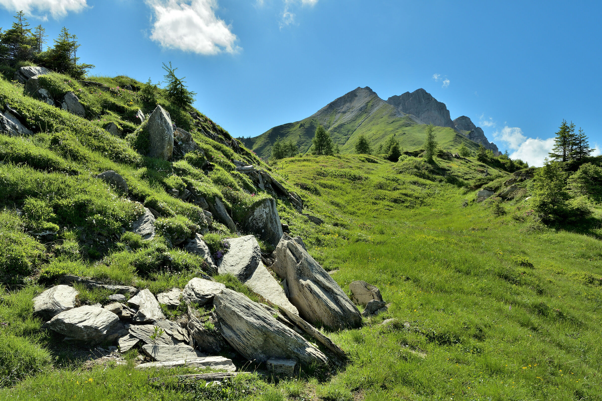 Carnic Alps