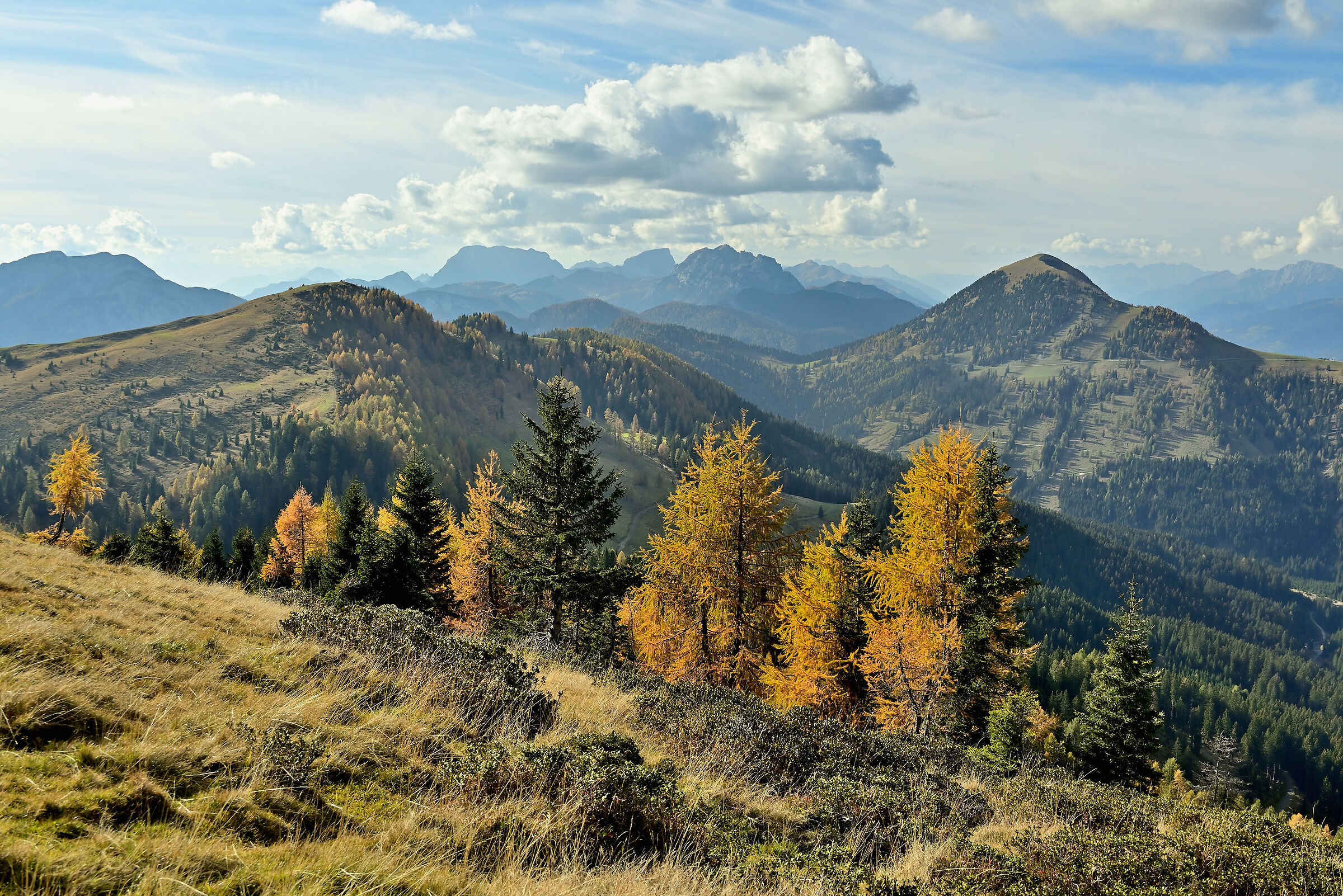 Carnic Alps