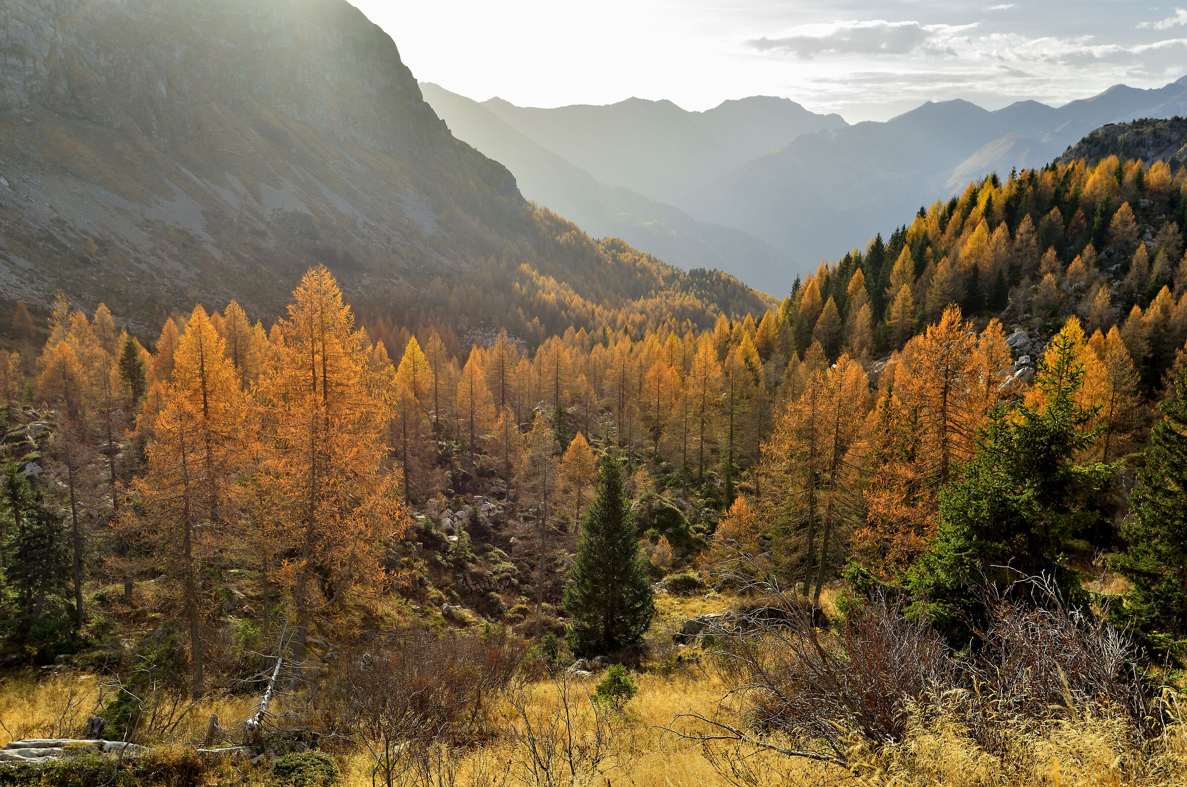 Alpi Carniche