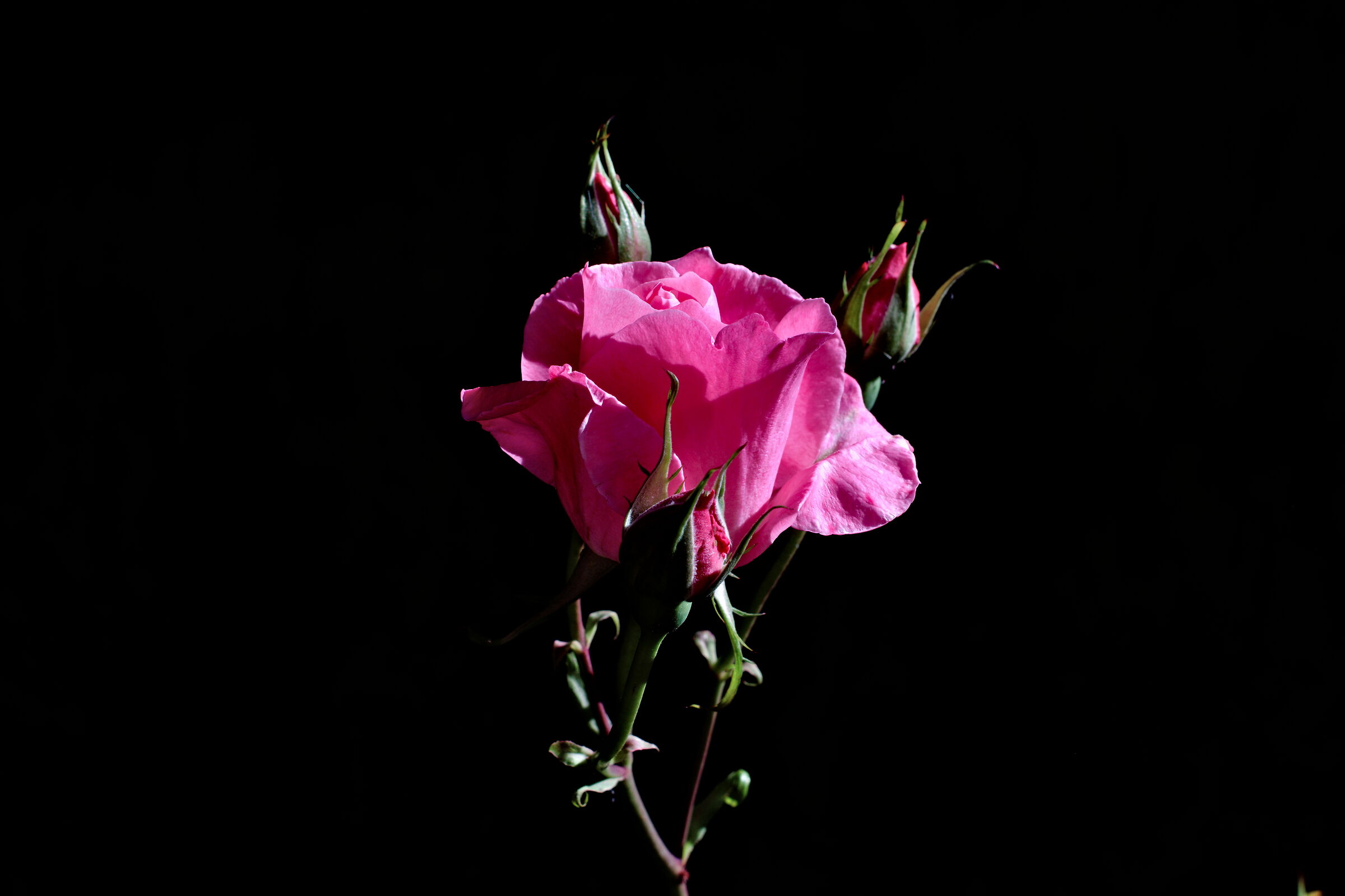 Finalmente un po' di sole