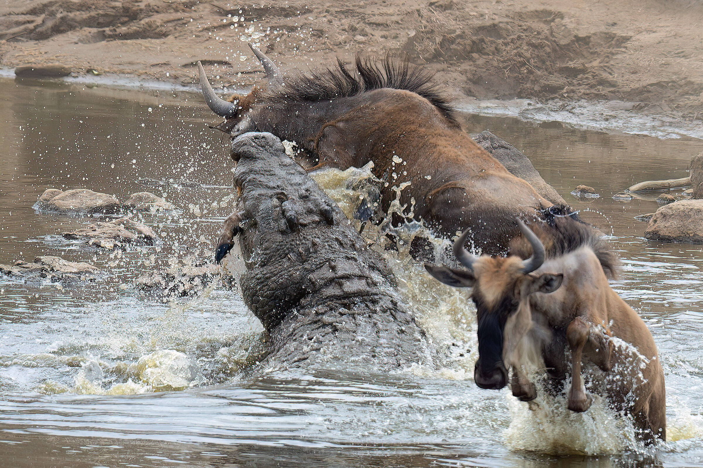 Massacre in the river Talek