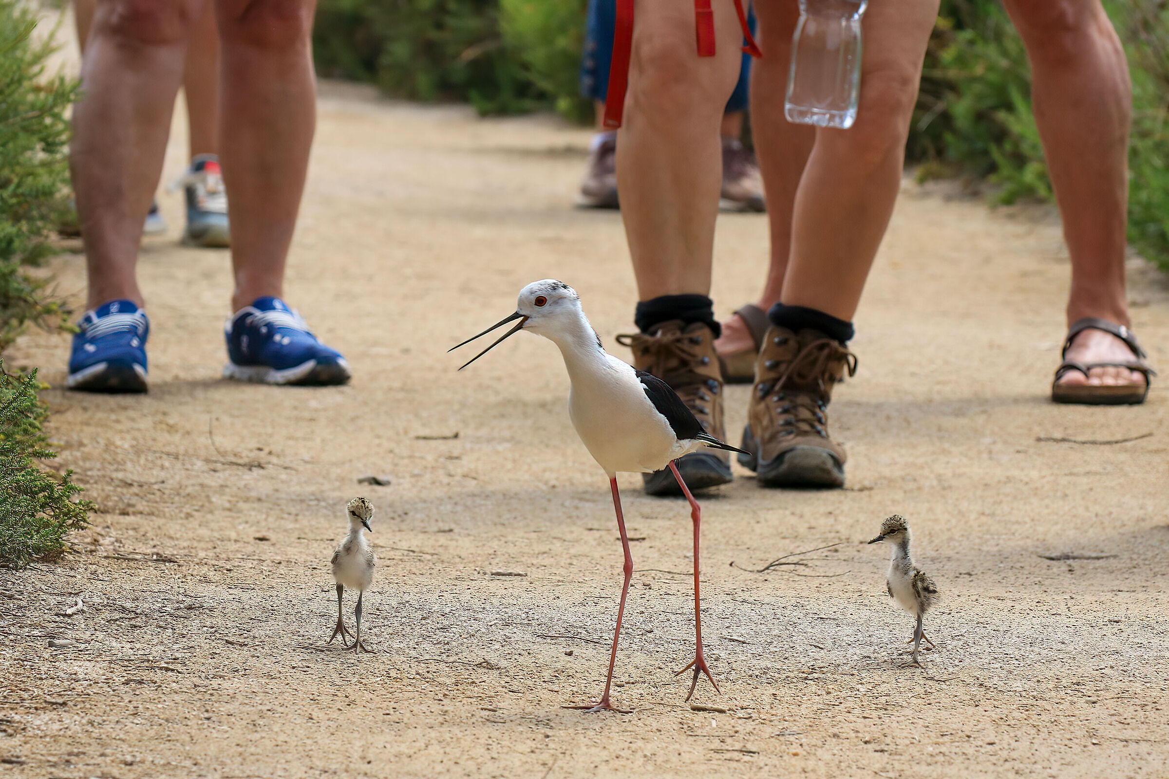 It's a difficult world...