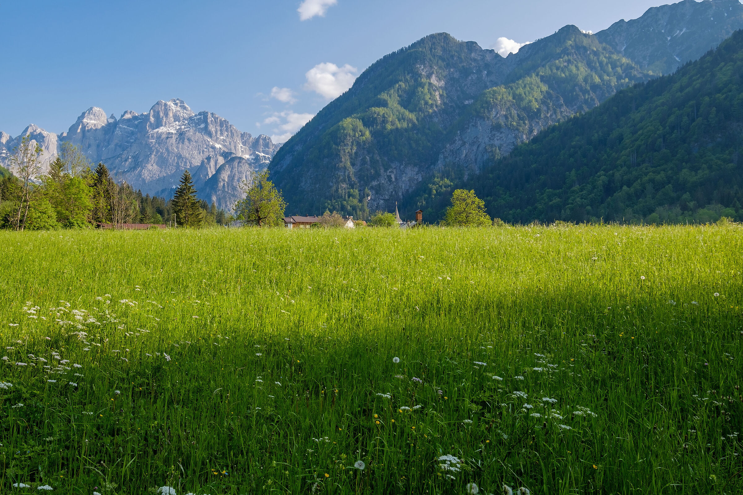 Mountains in Friuli I