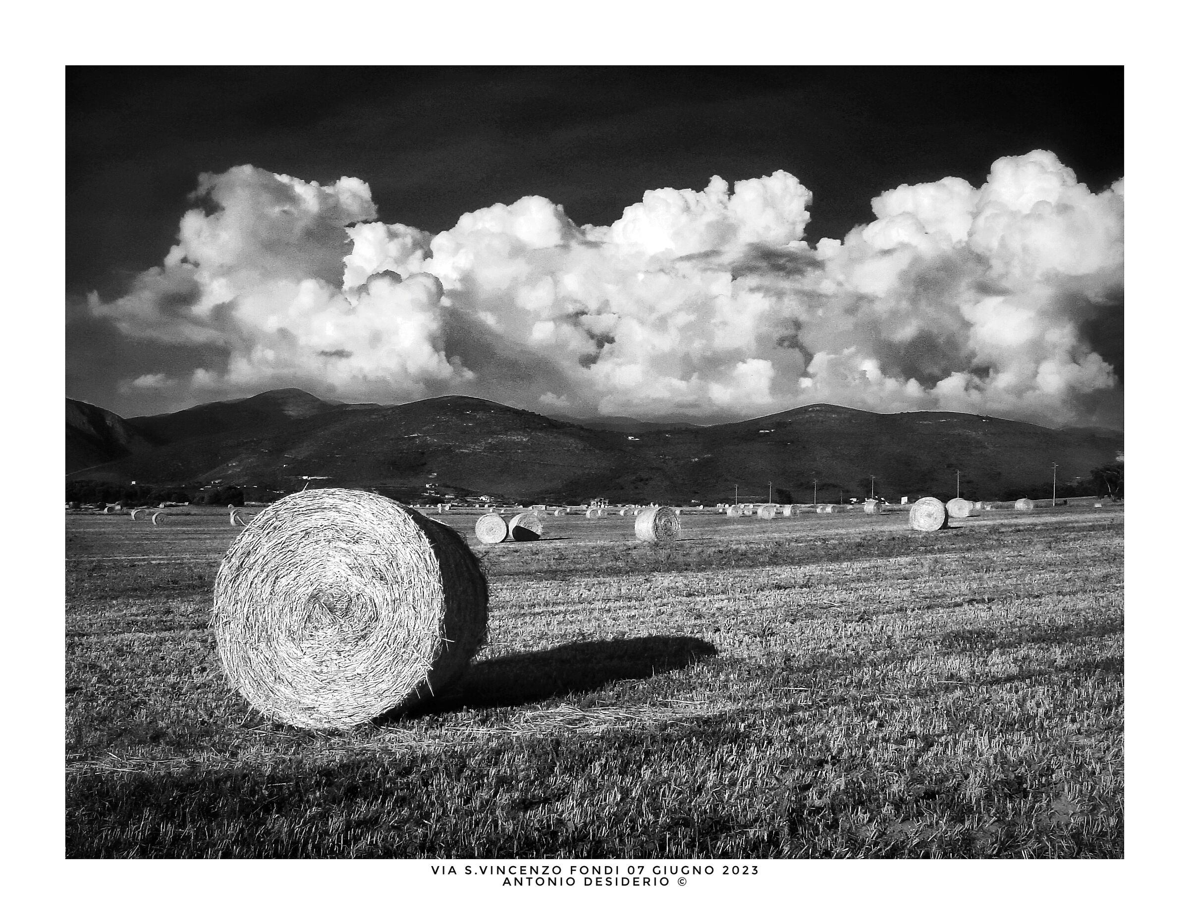 Ancora le rotoballe...