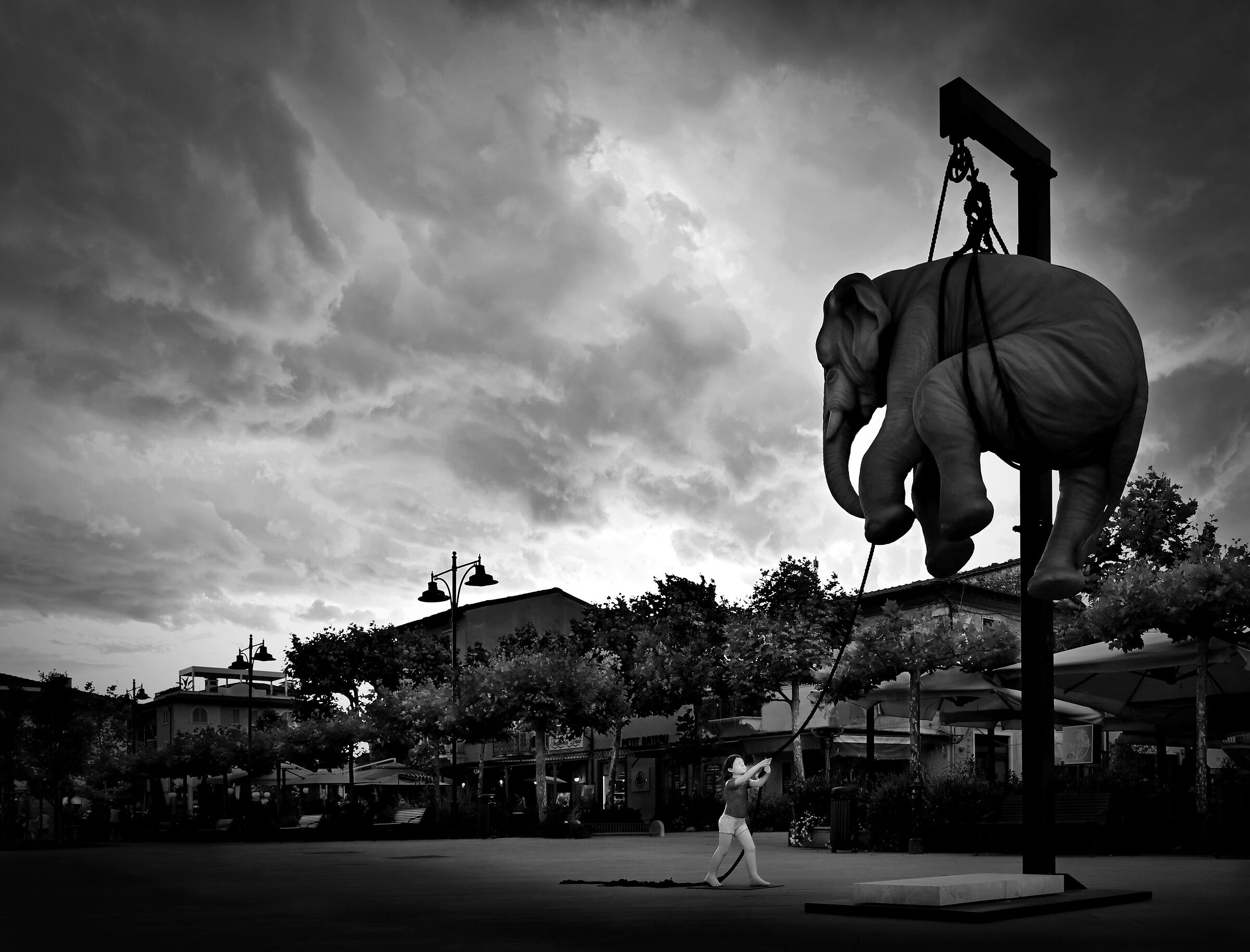 Martha and the Elephant