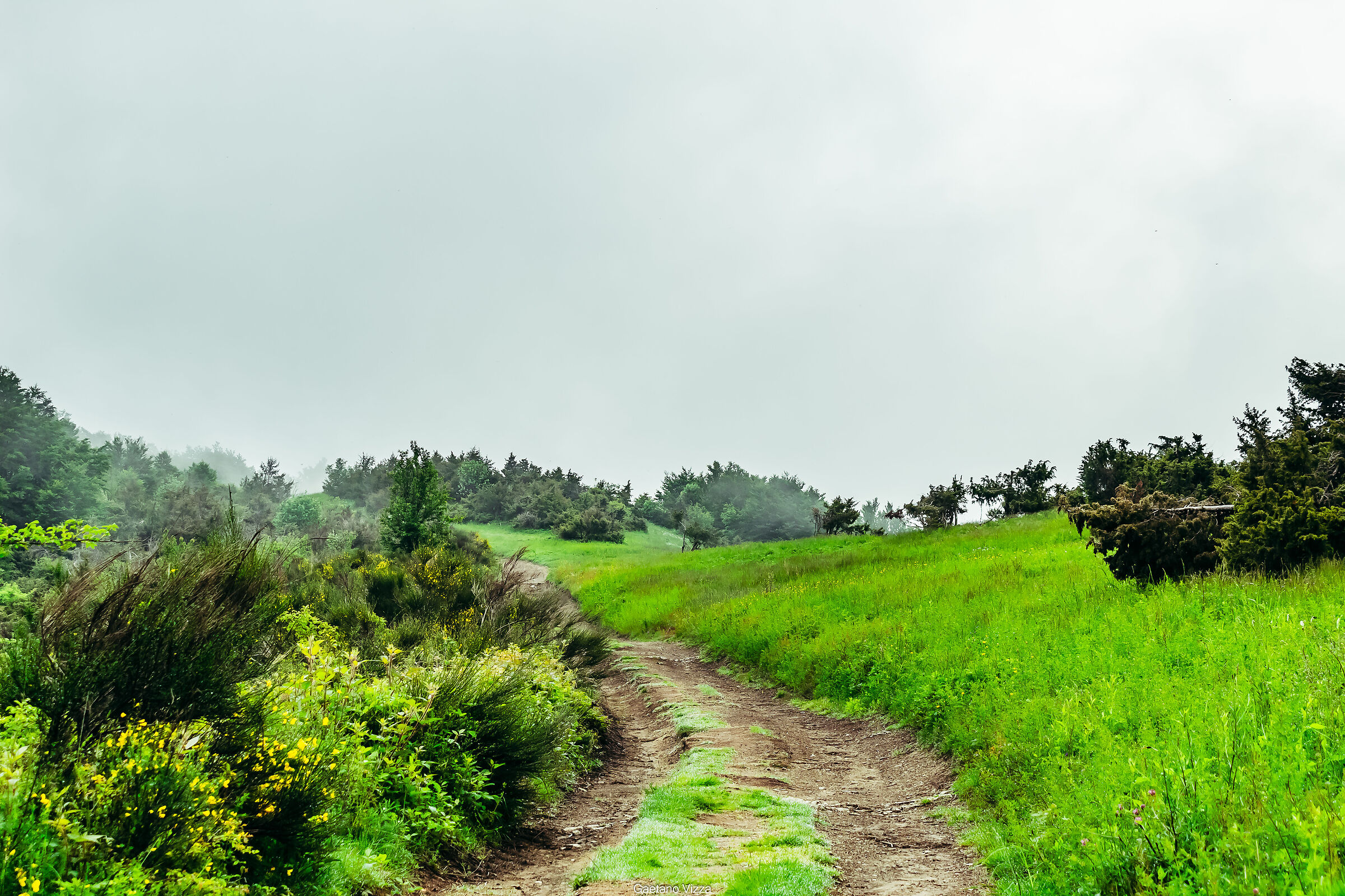 Road to heaven