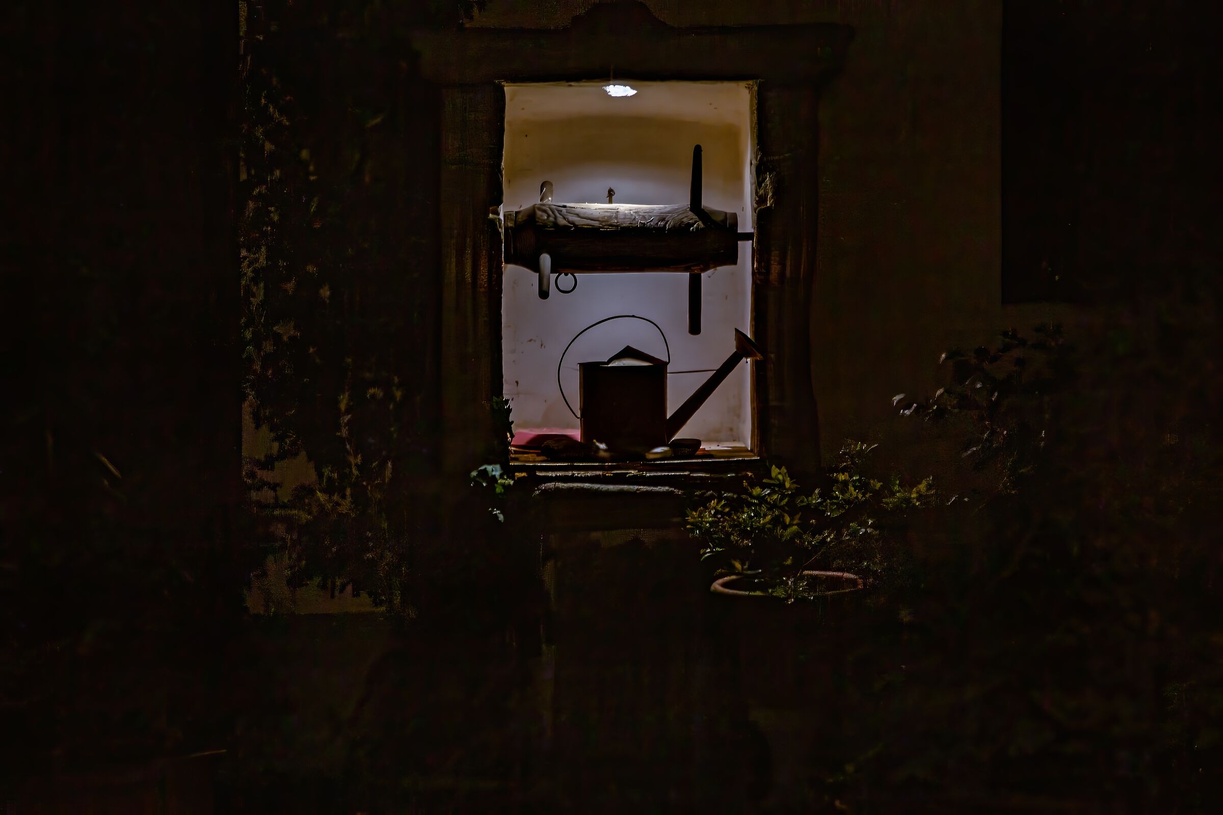 The moon in the well ...