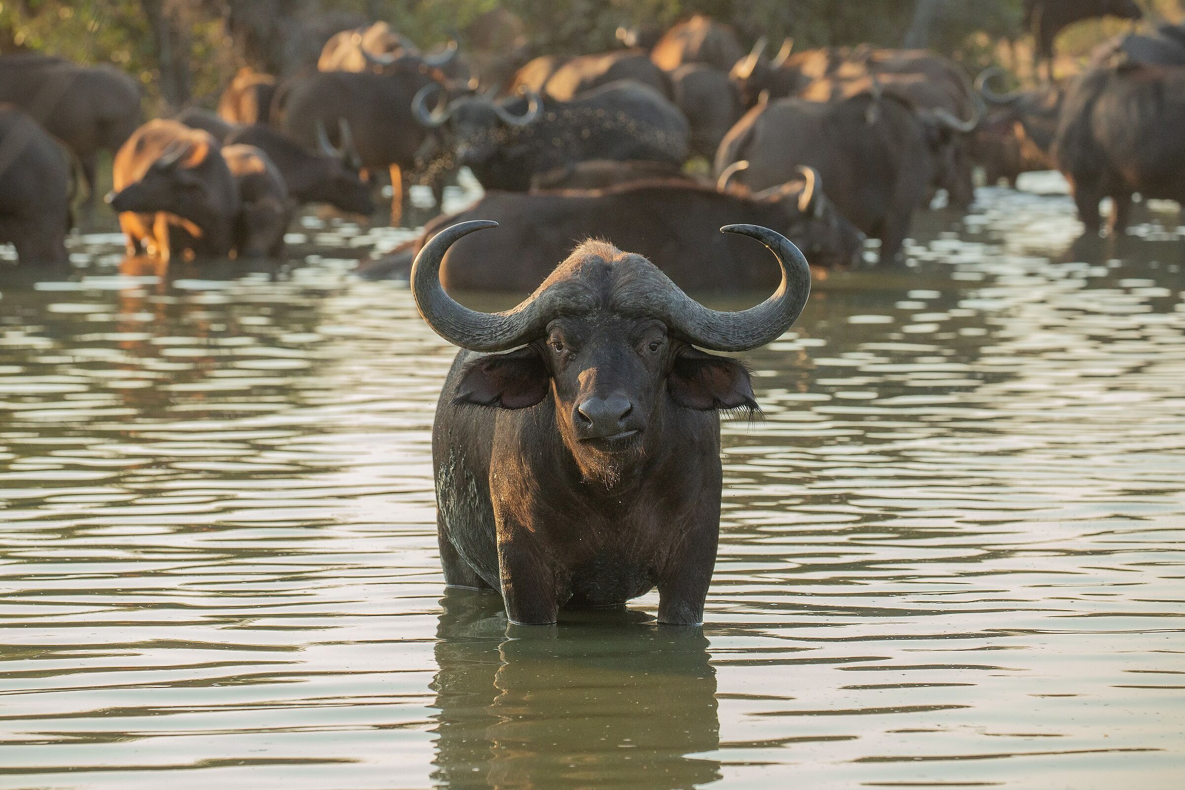 come dire...beh... insomma