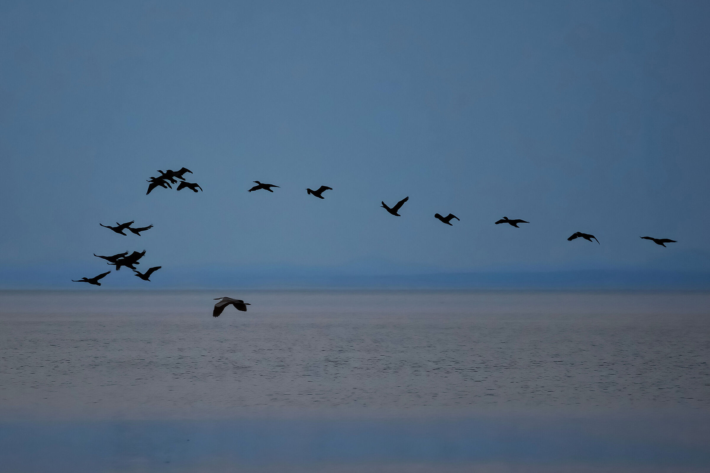IT LONGEANT LE SAINT LAURENT 2012 - POINTE DES MONTS