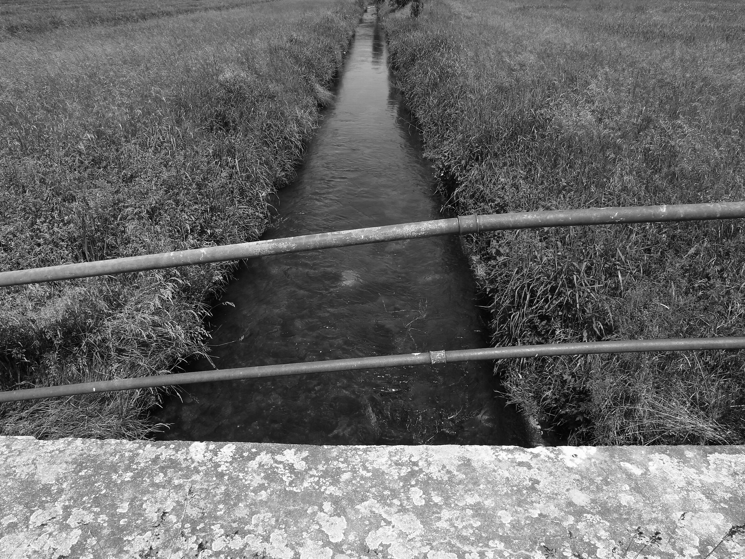 Perspective 1