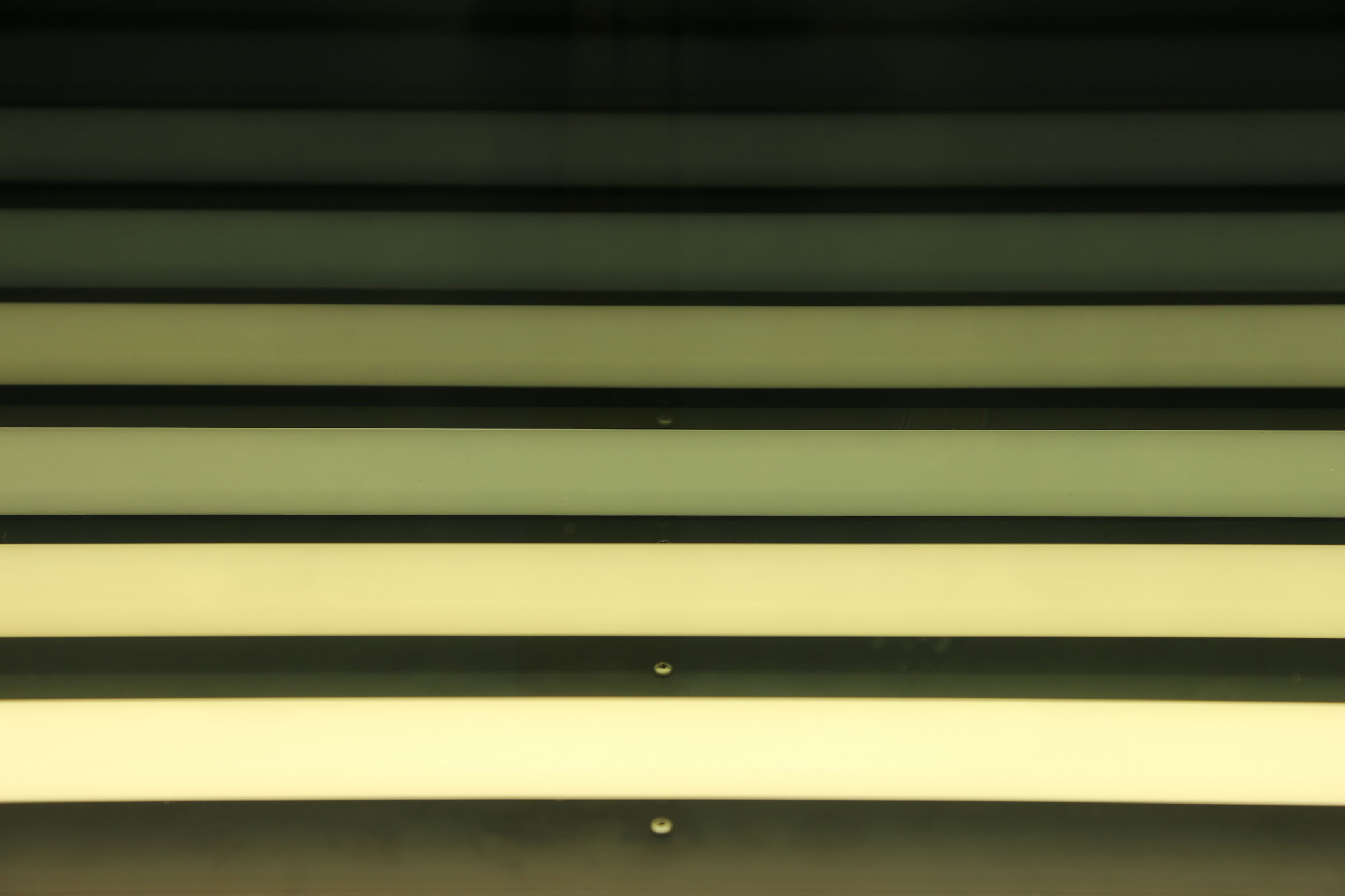 Lines