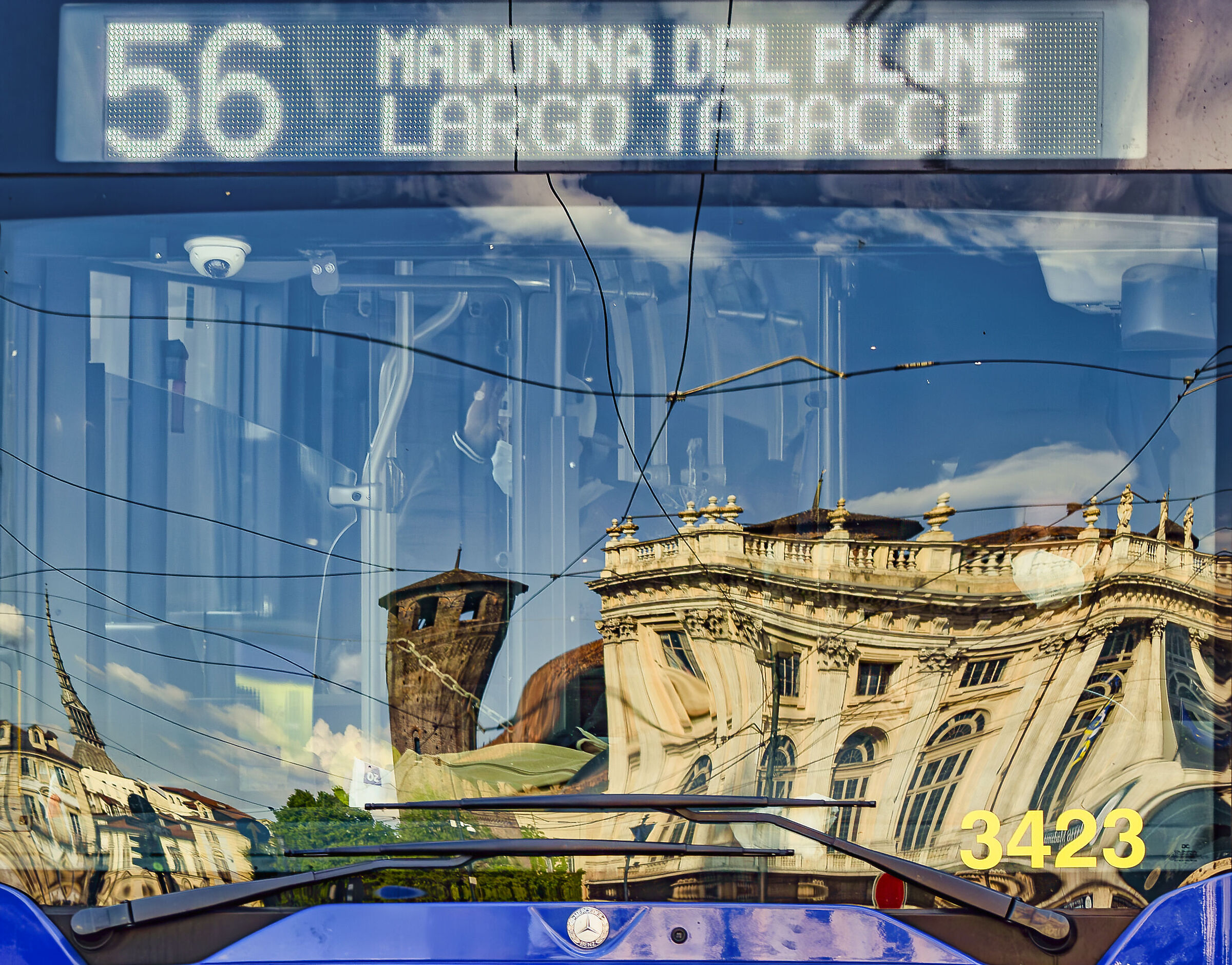 Windshield