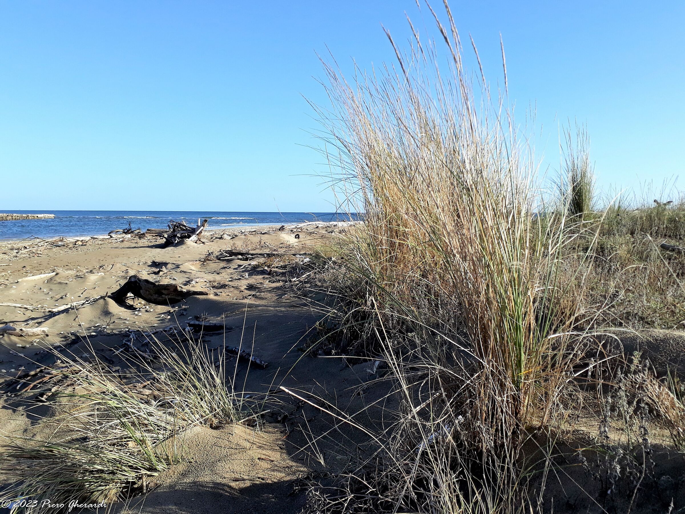 Spiaggia