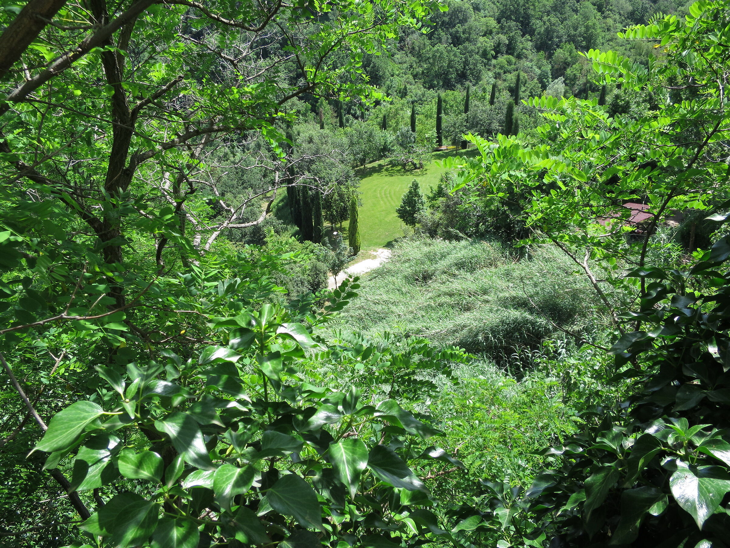 A dip in the green
