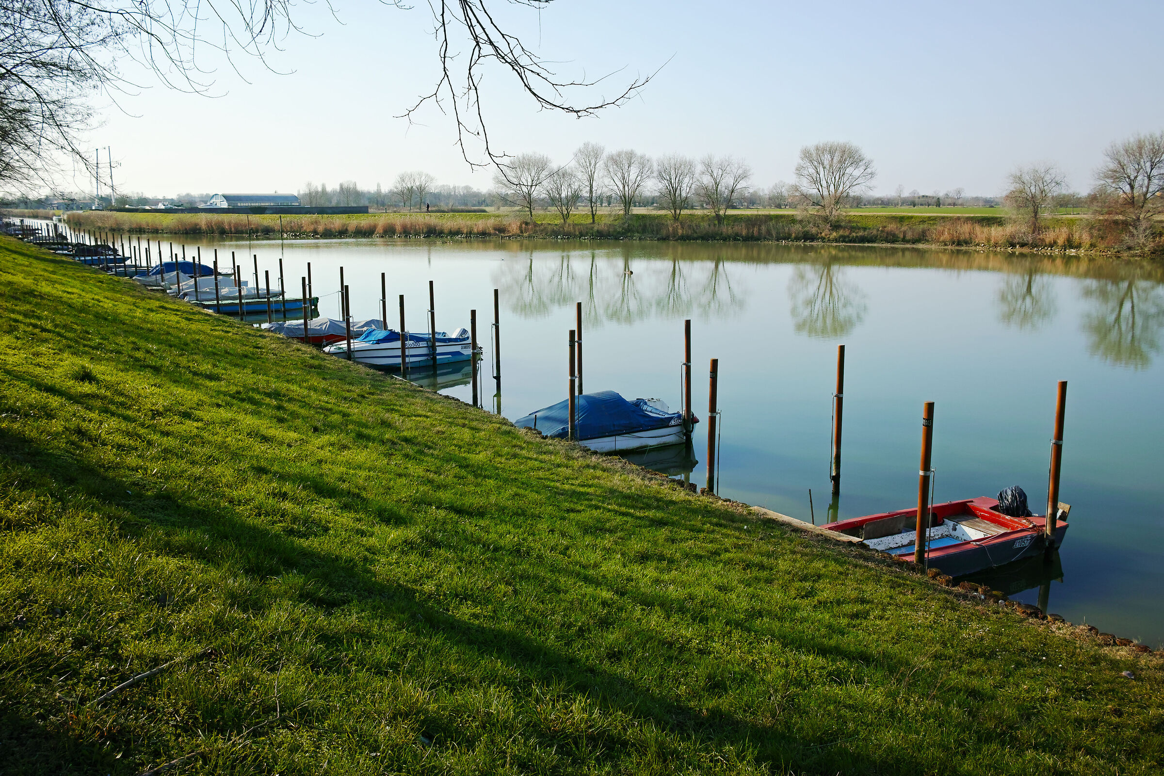 Tessera dietro l'aeroporto di Venezia