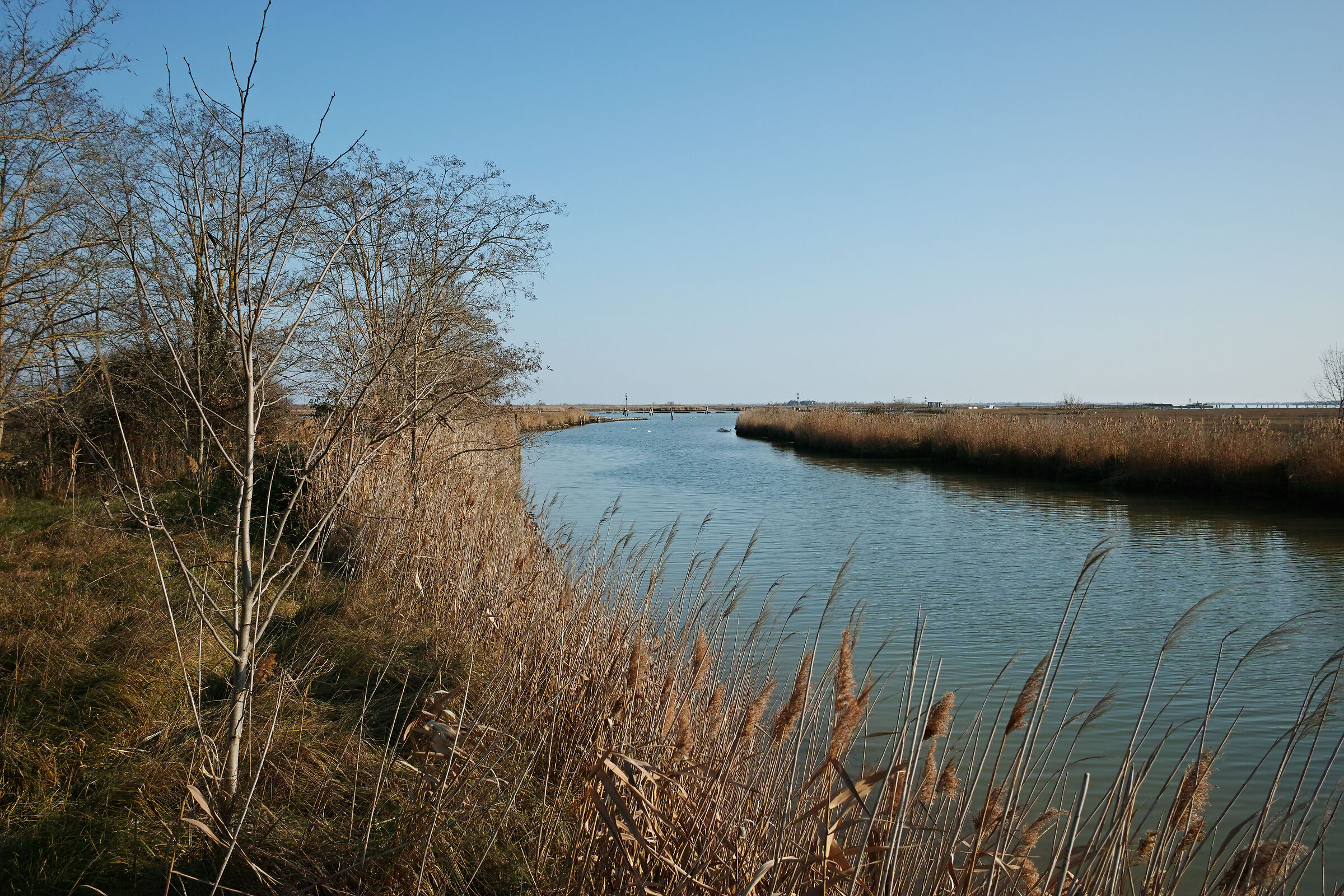 Tessera dietro l'aeroporto di Venezia