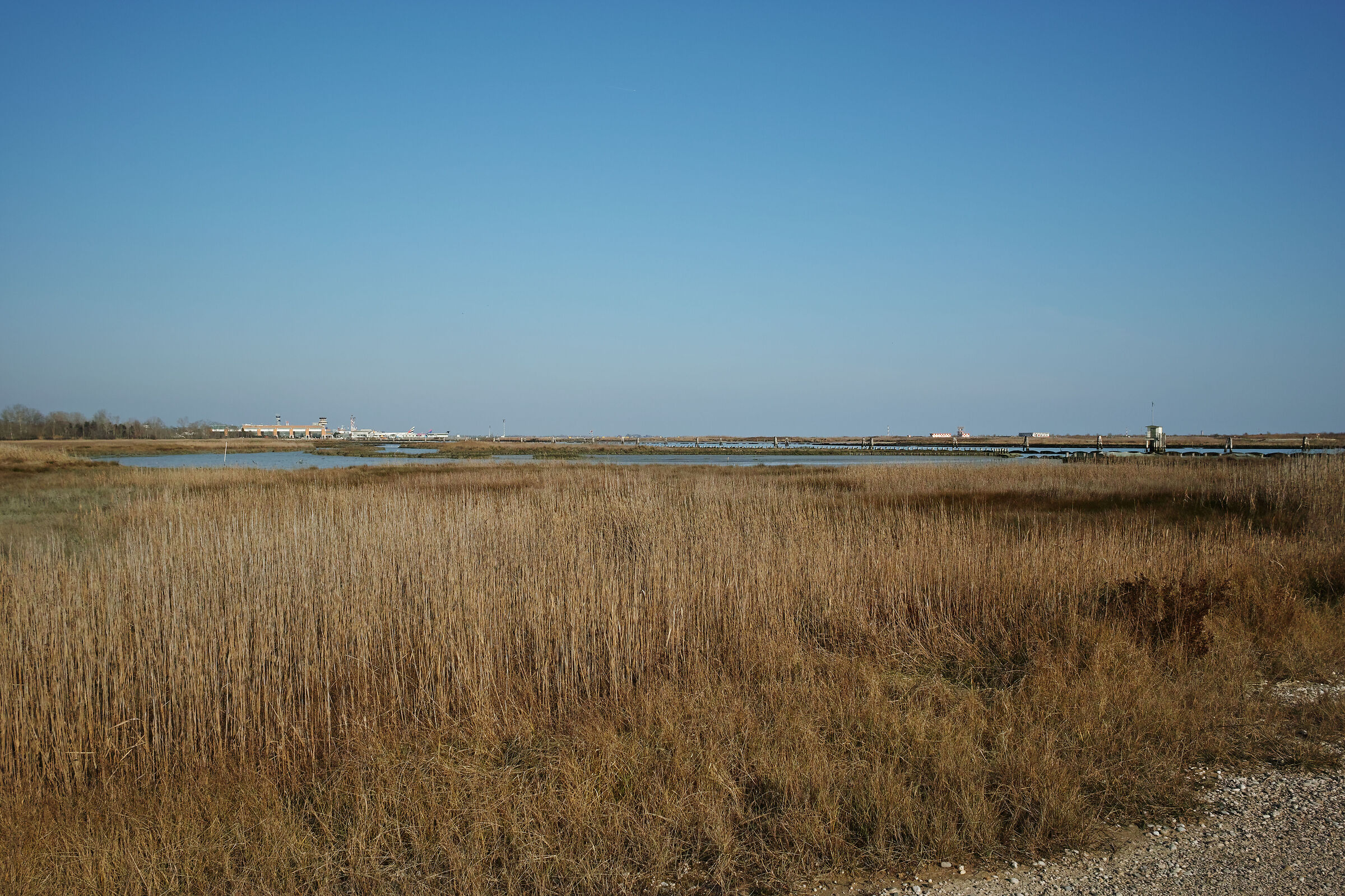 Tessera dietro l'aeroporto di Venezia