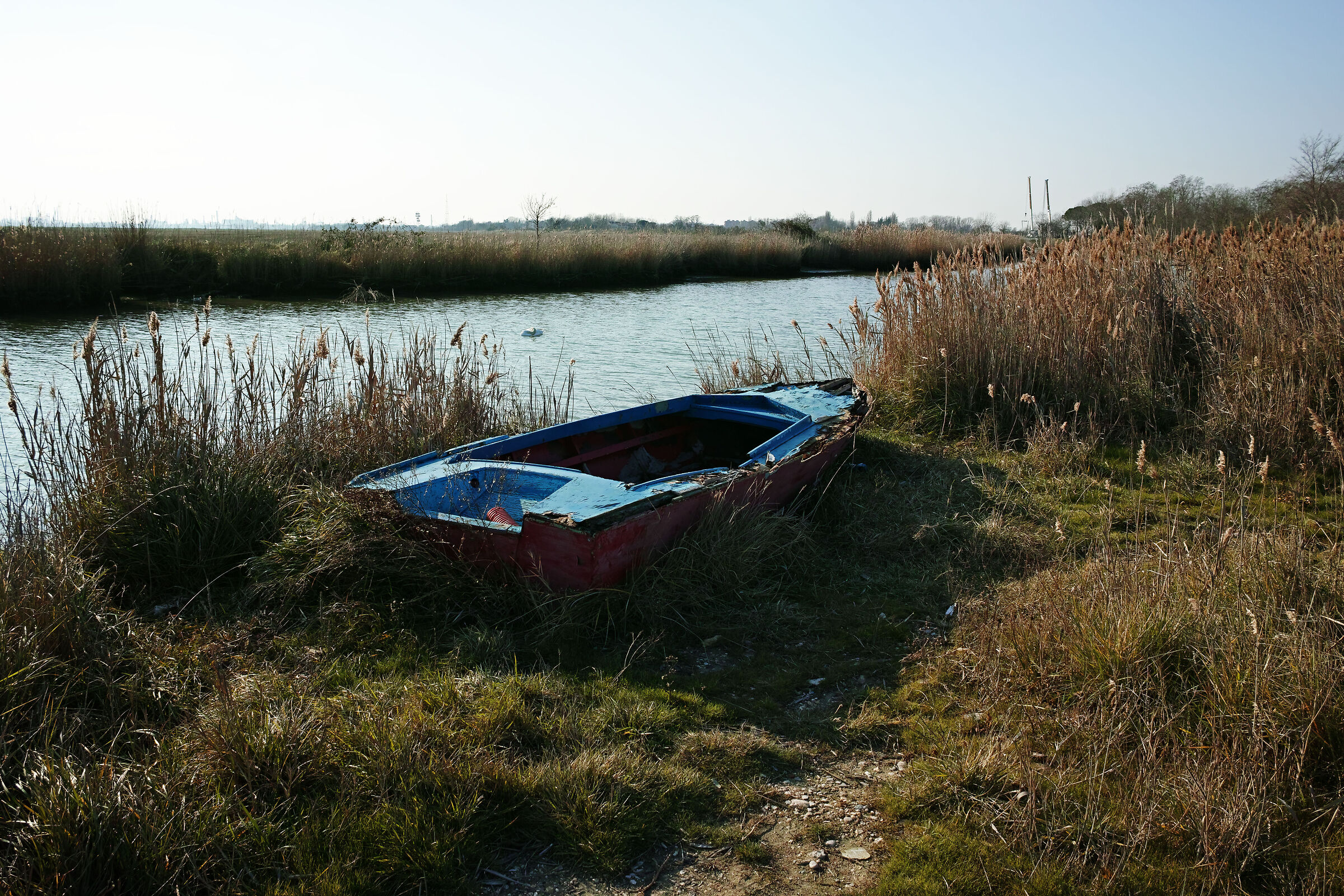 Tessera dietro l'aeroporto di Venezia