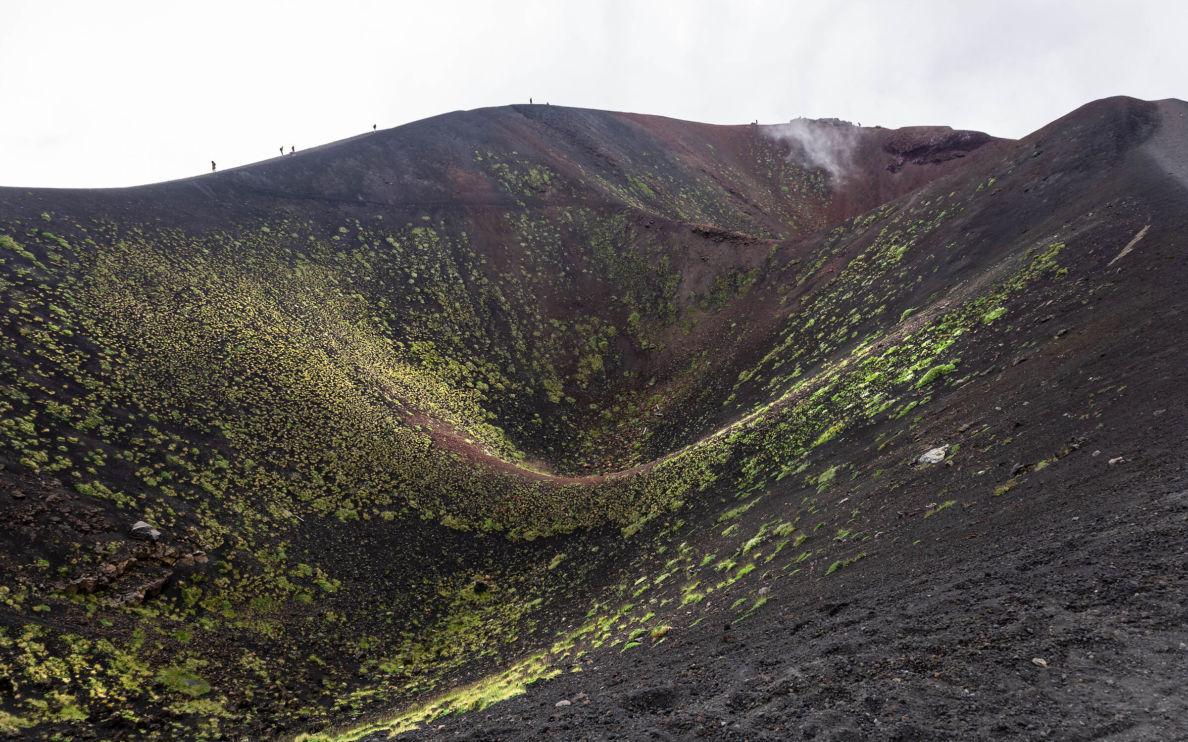 Etna cratere silvestre(rifugio sapienza)