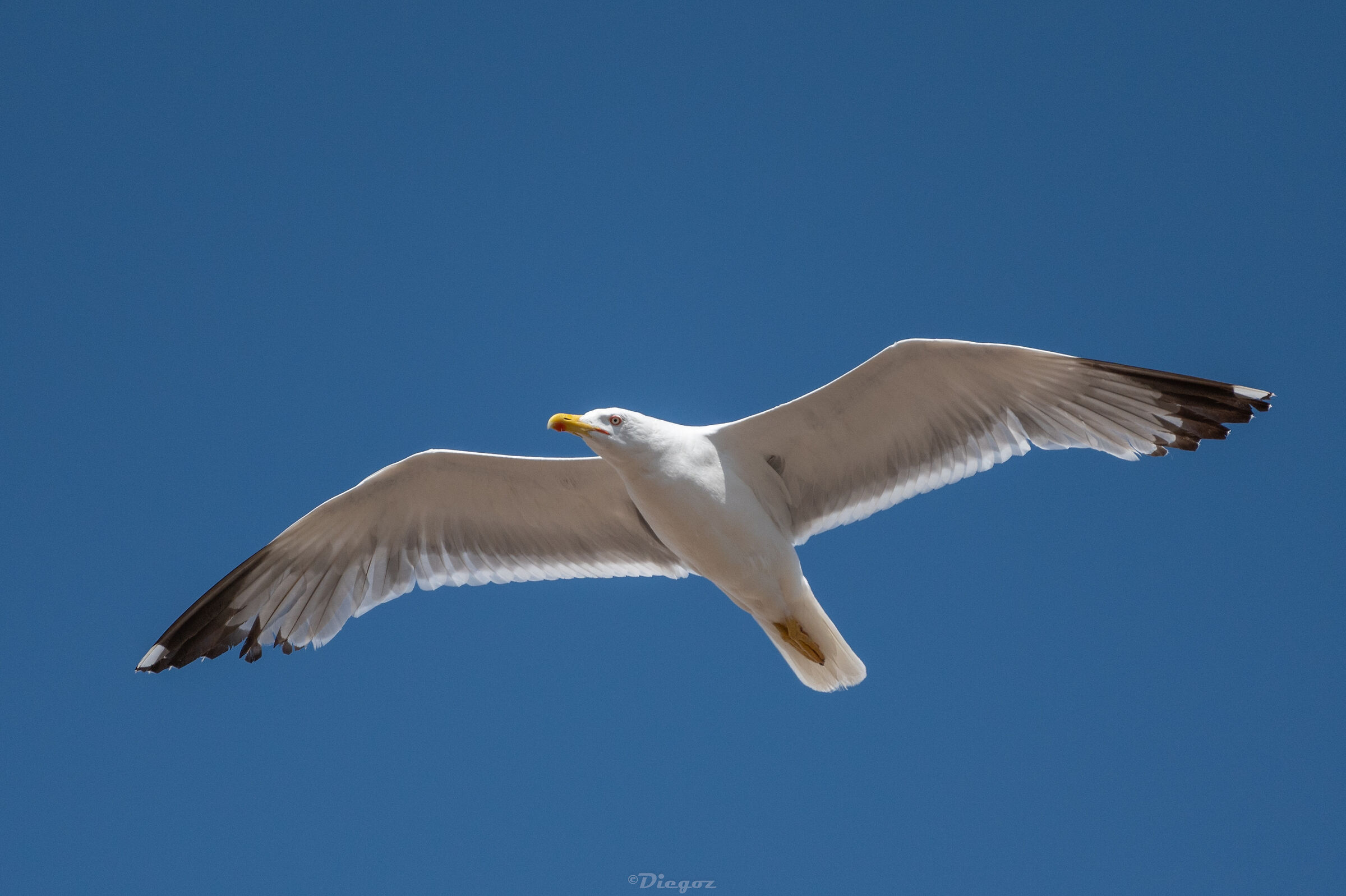Untitled Photo