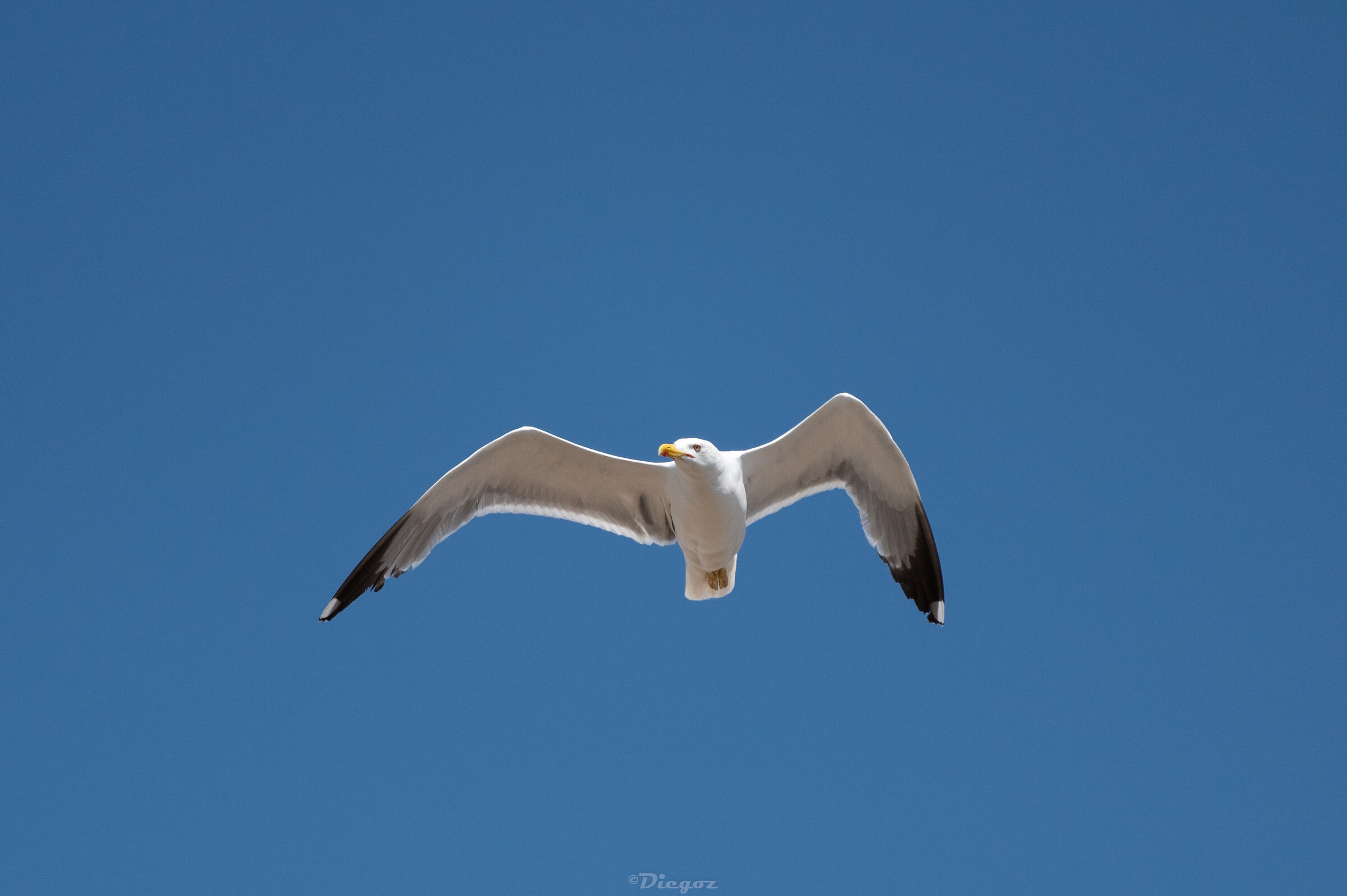 Untitled Photo