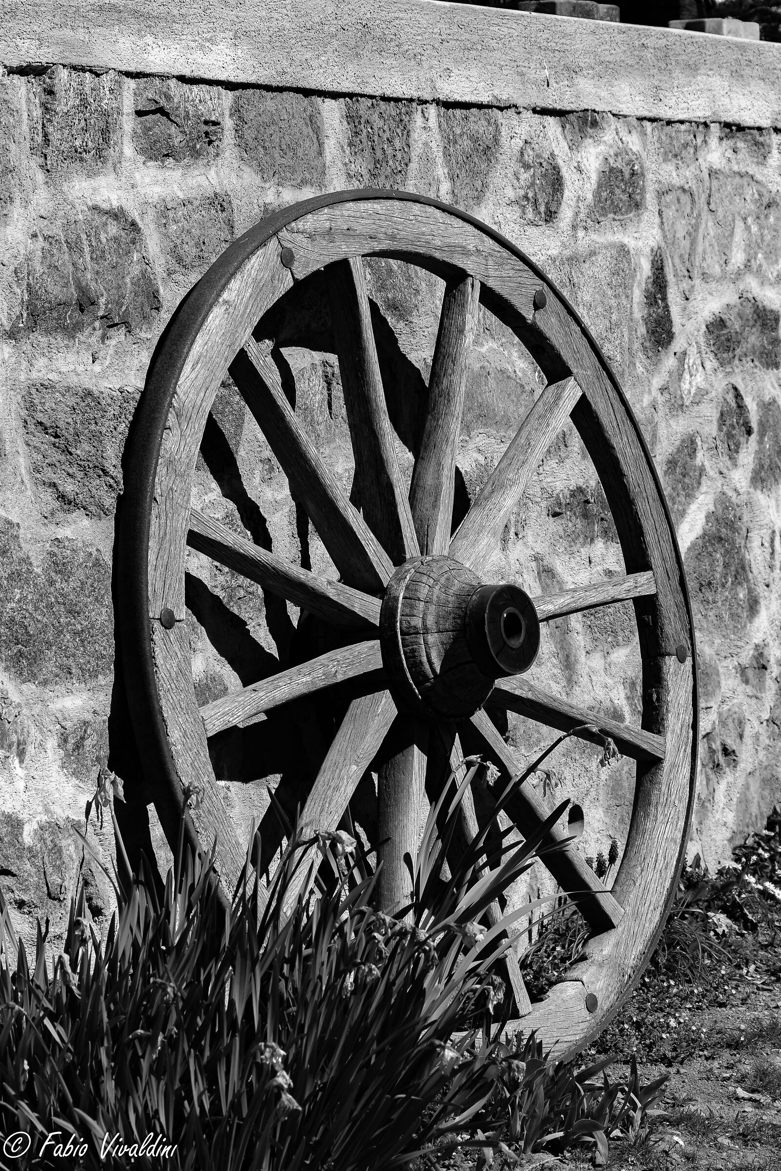 Quanta strada avrà fatto