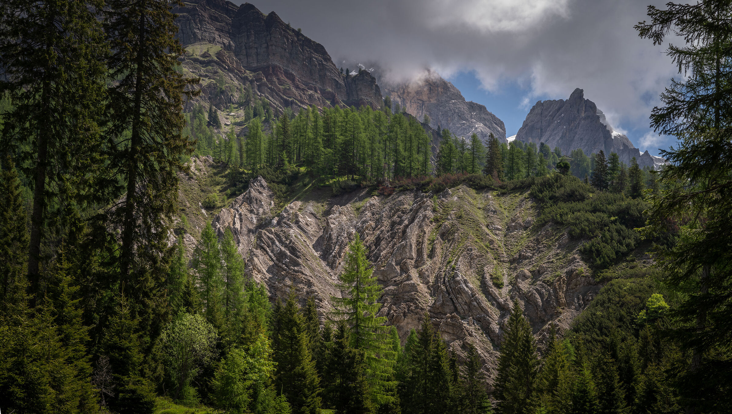 Formazioni di Bellerophon, Parco Nat. Pale San Martino