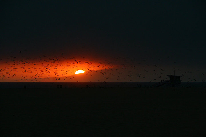 Spiaggia_Santa Monica_California