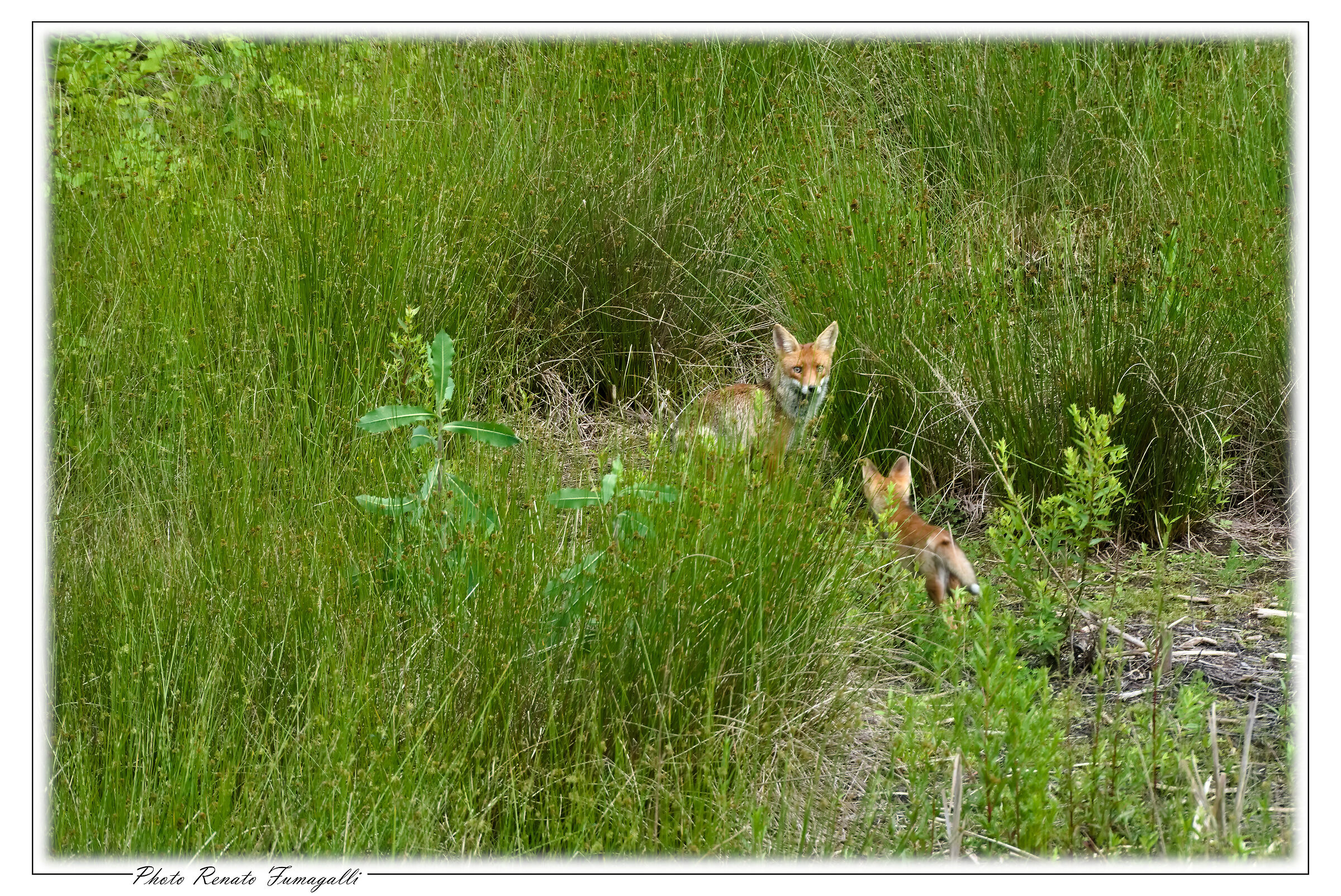 The mothers of the world are all beautiful