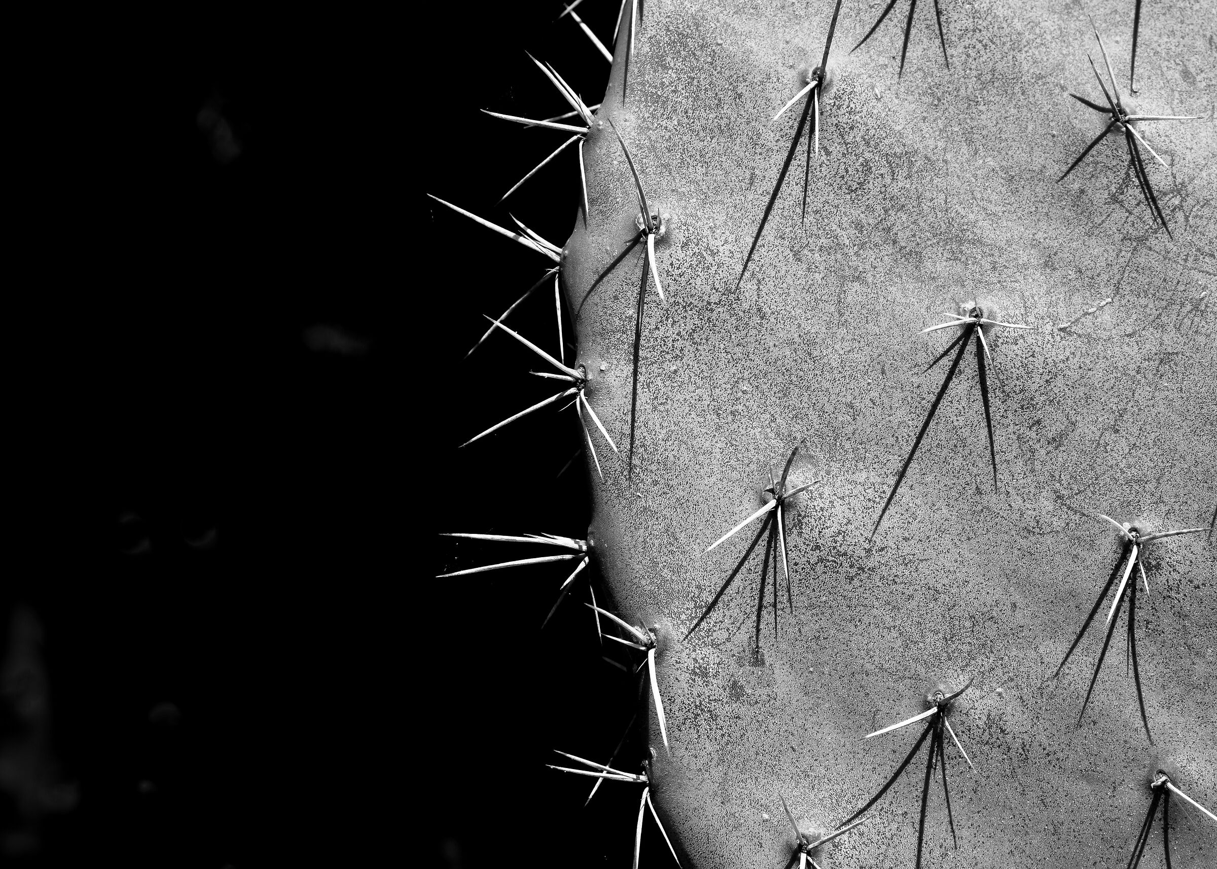 Forme semplici - 1.... (serie di 8 foto)