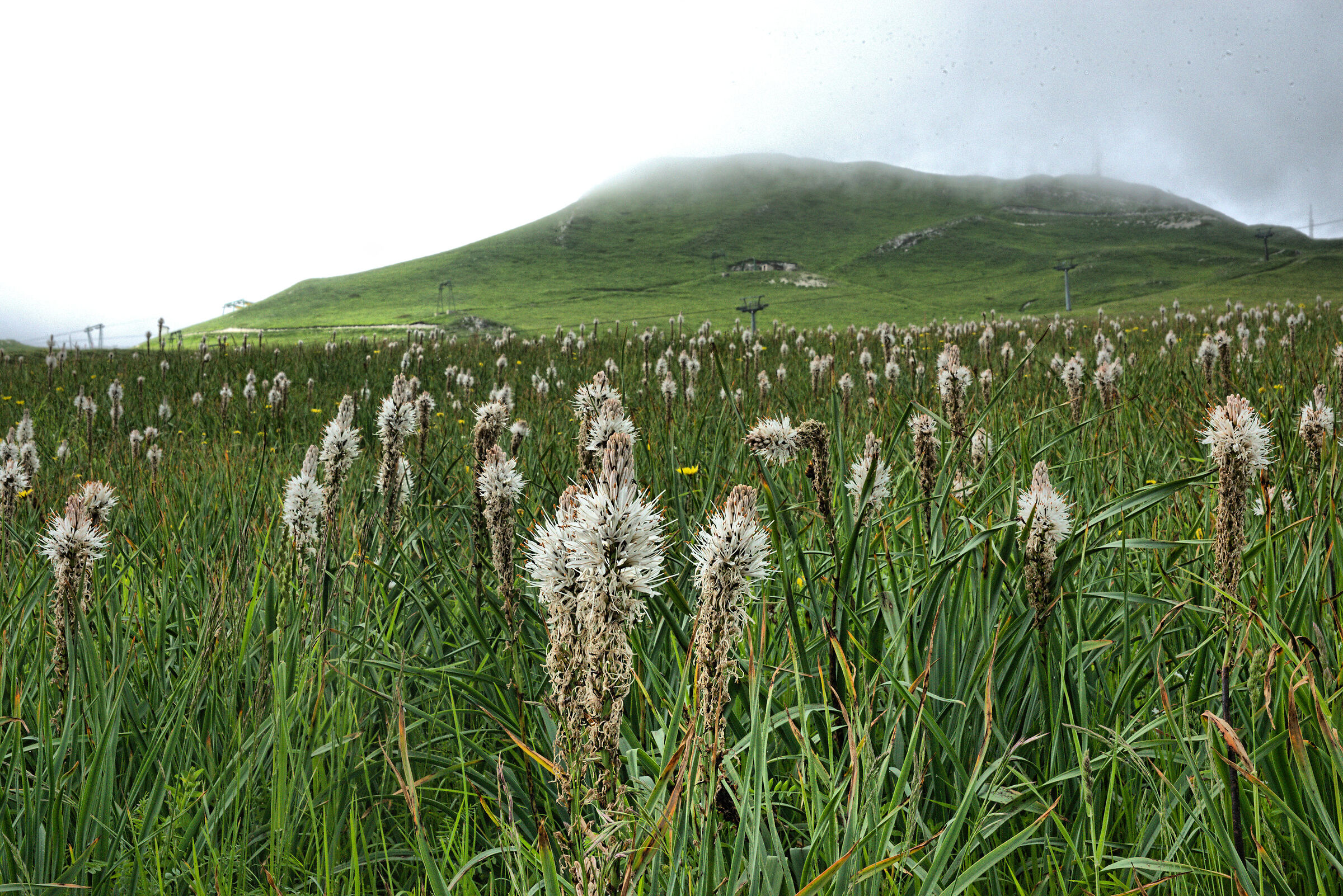 Sibillini Mountains