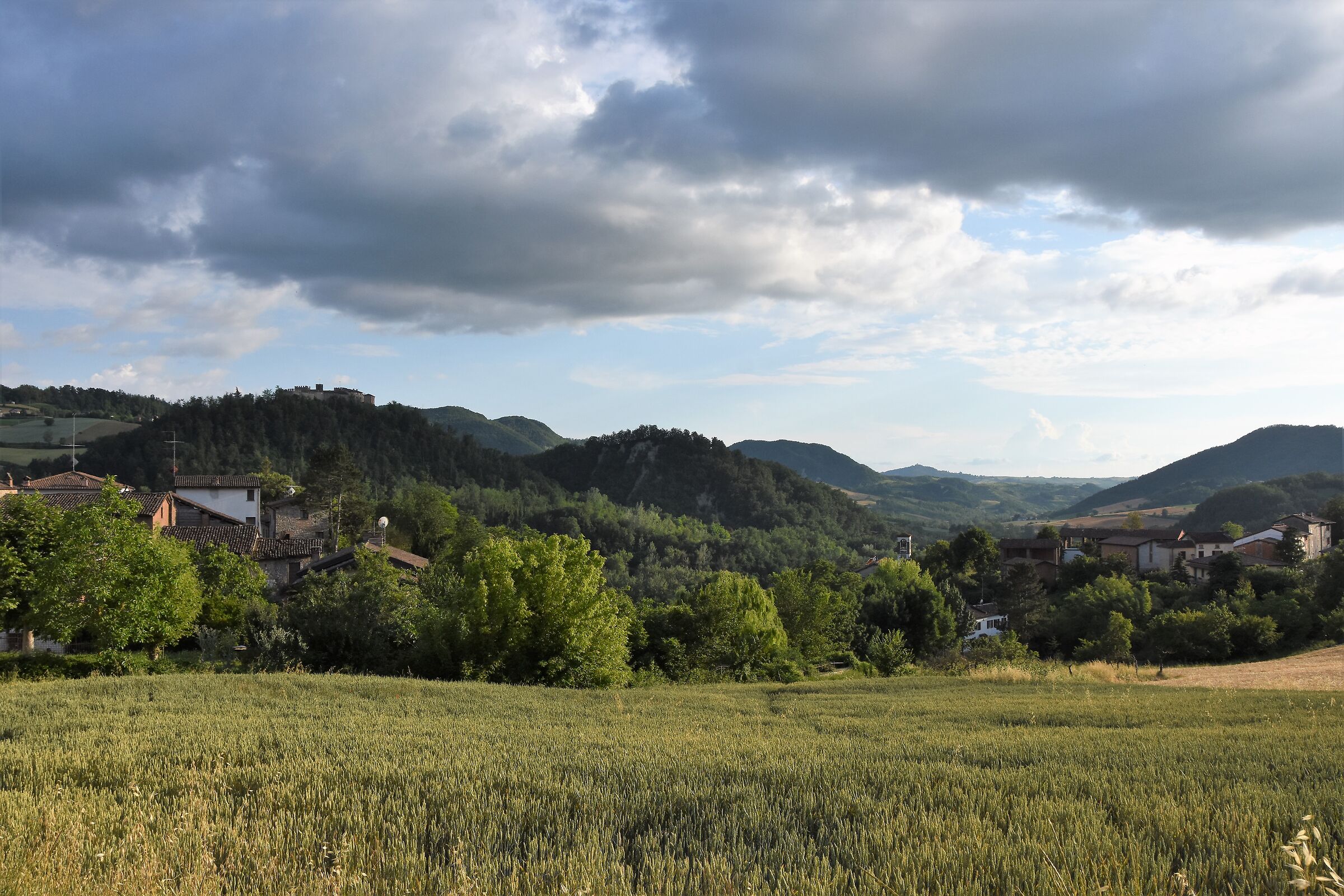 Valle Ardivestra Oltrepò Pavese