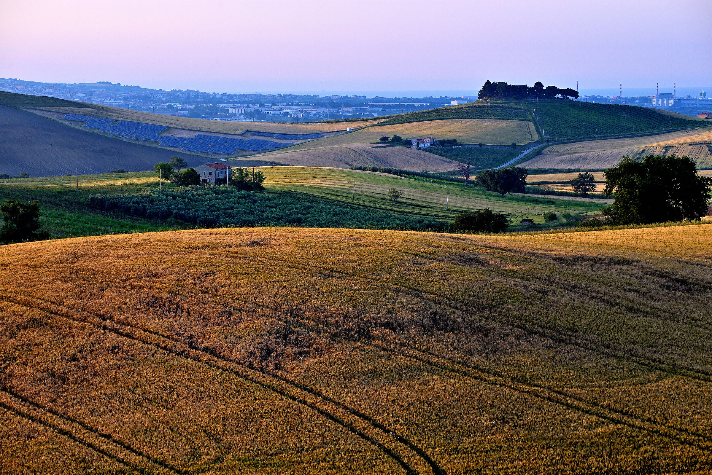 Dalla campagna alla città