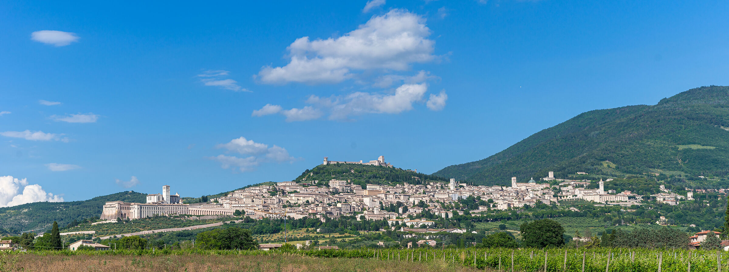 Assisi