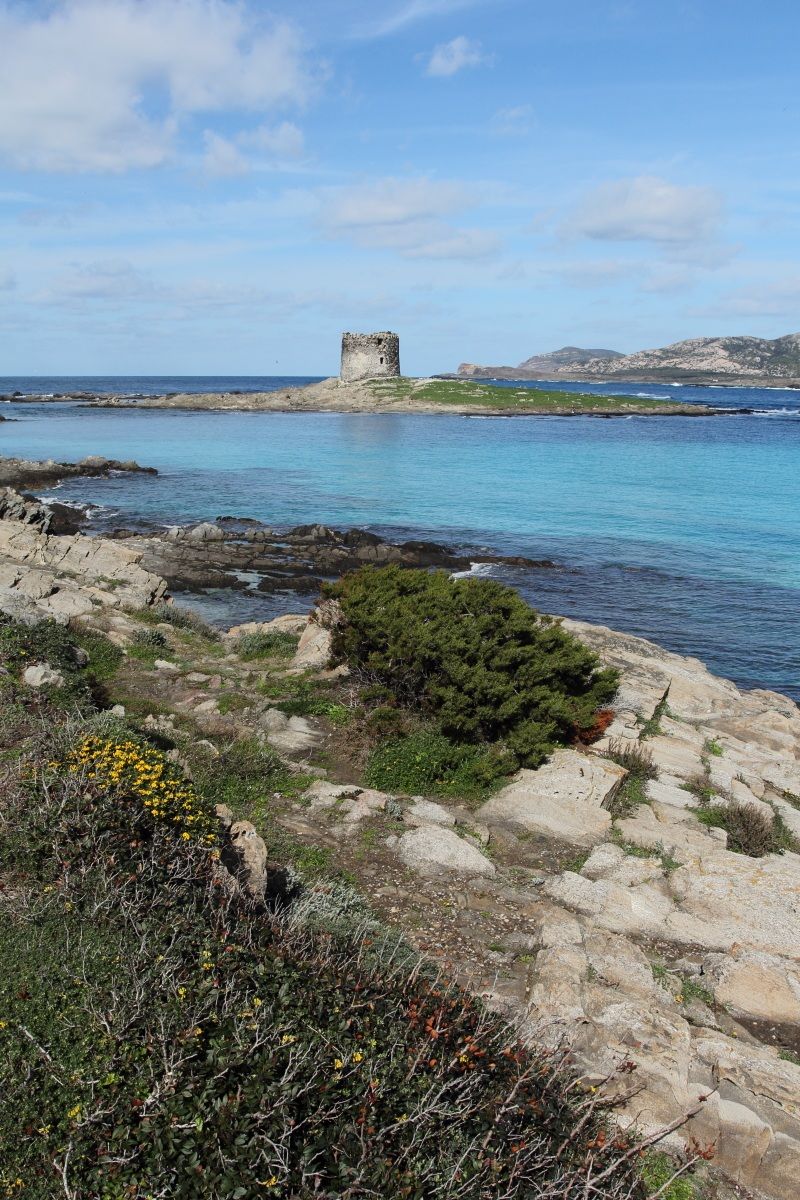 Stintino, Torre della Pelosetta