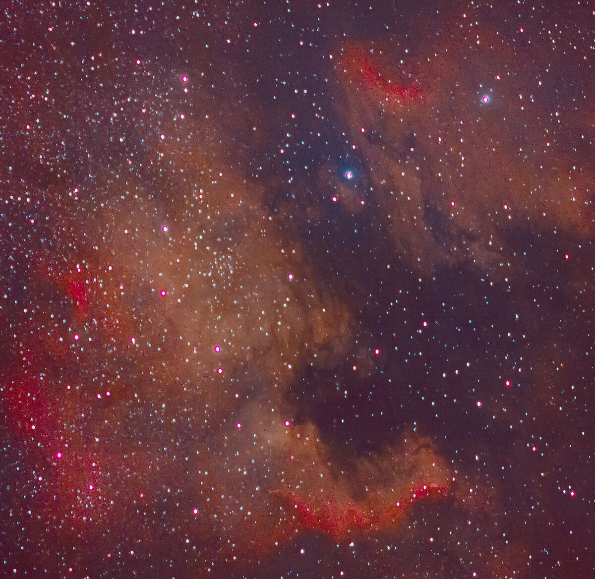 NGC 7000
