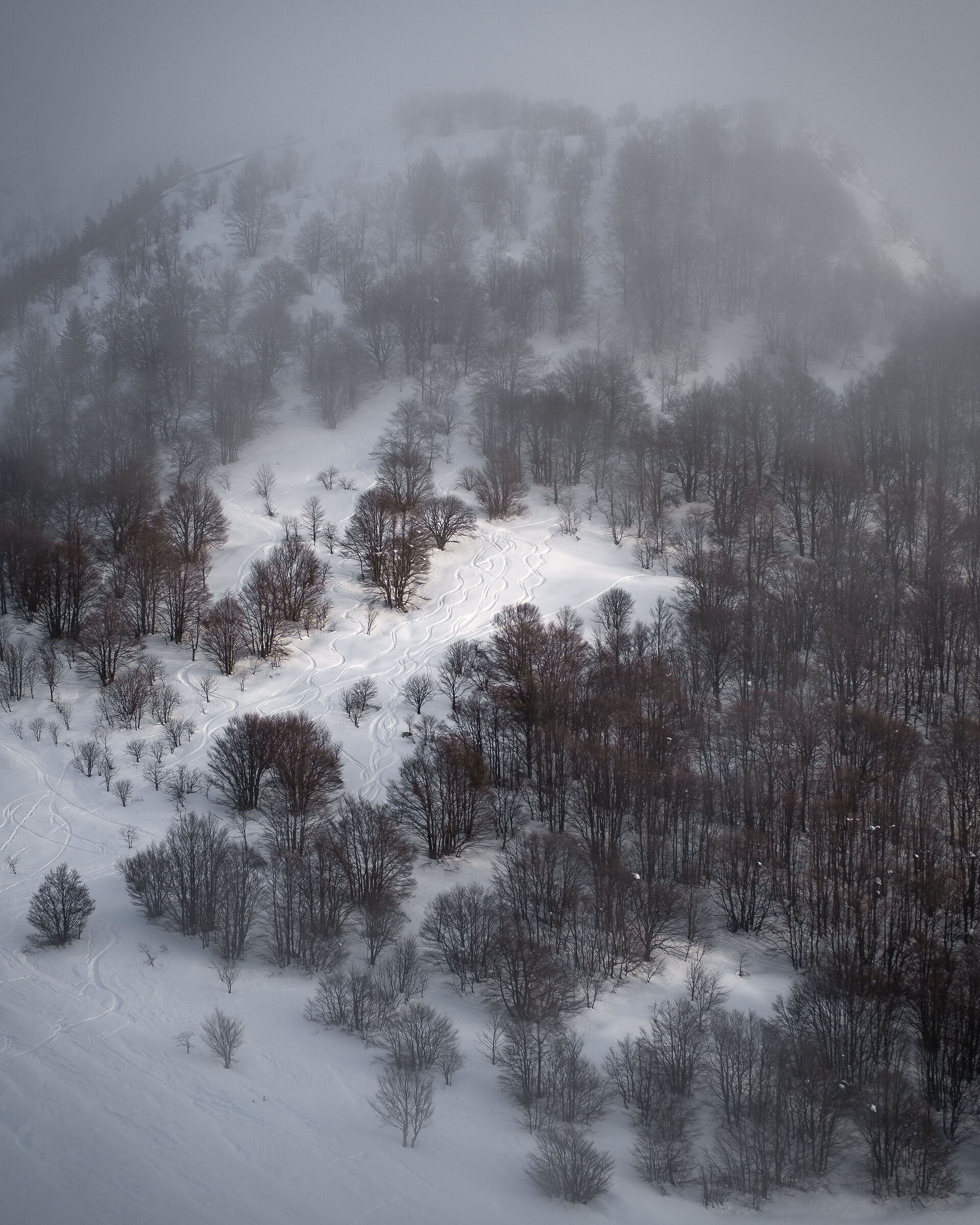 Alpe di Neggia, Ticino, Switzerland