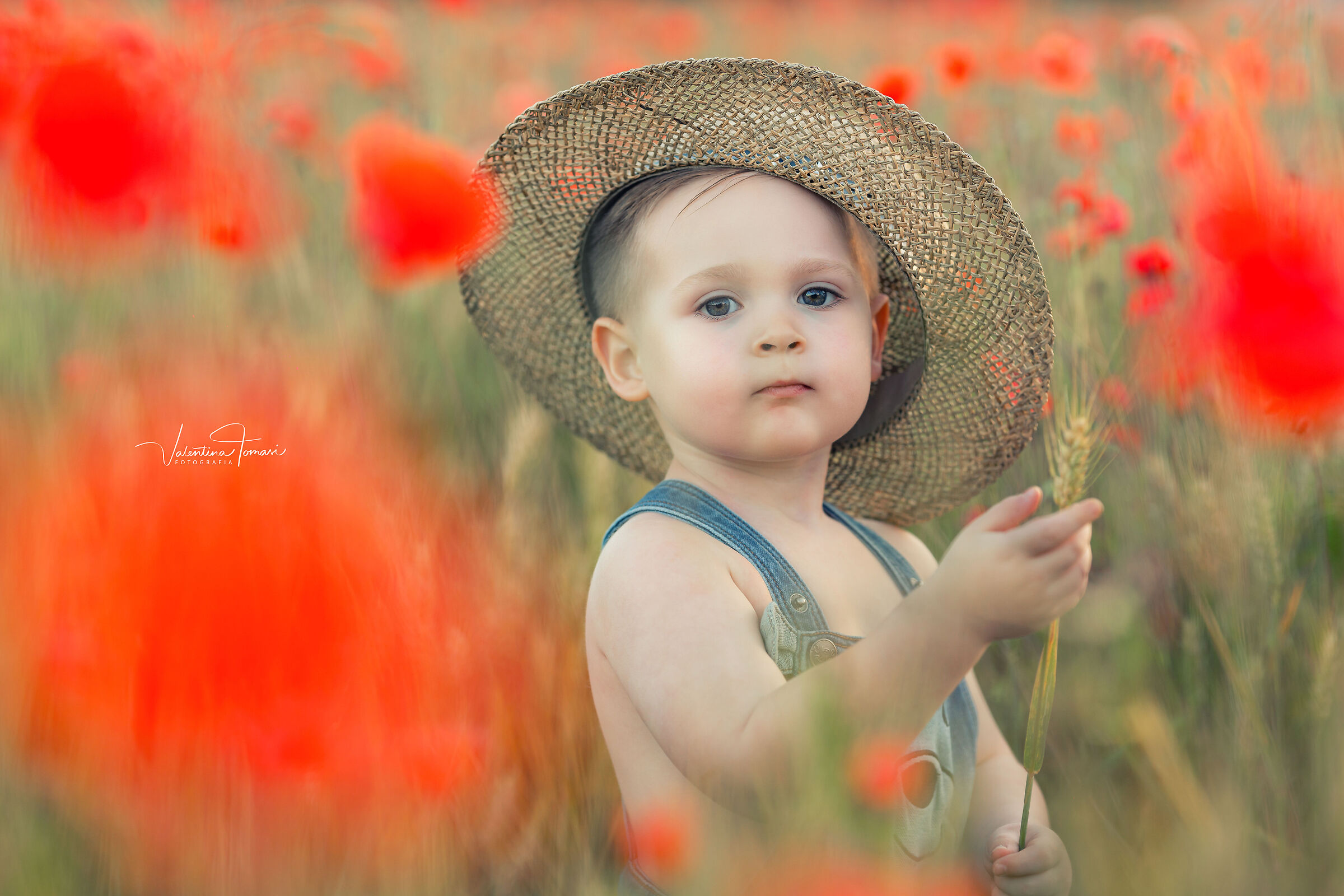 Noah