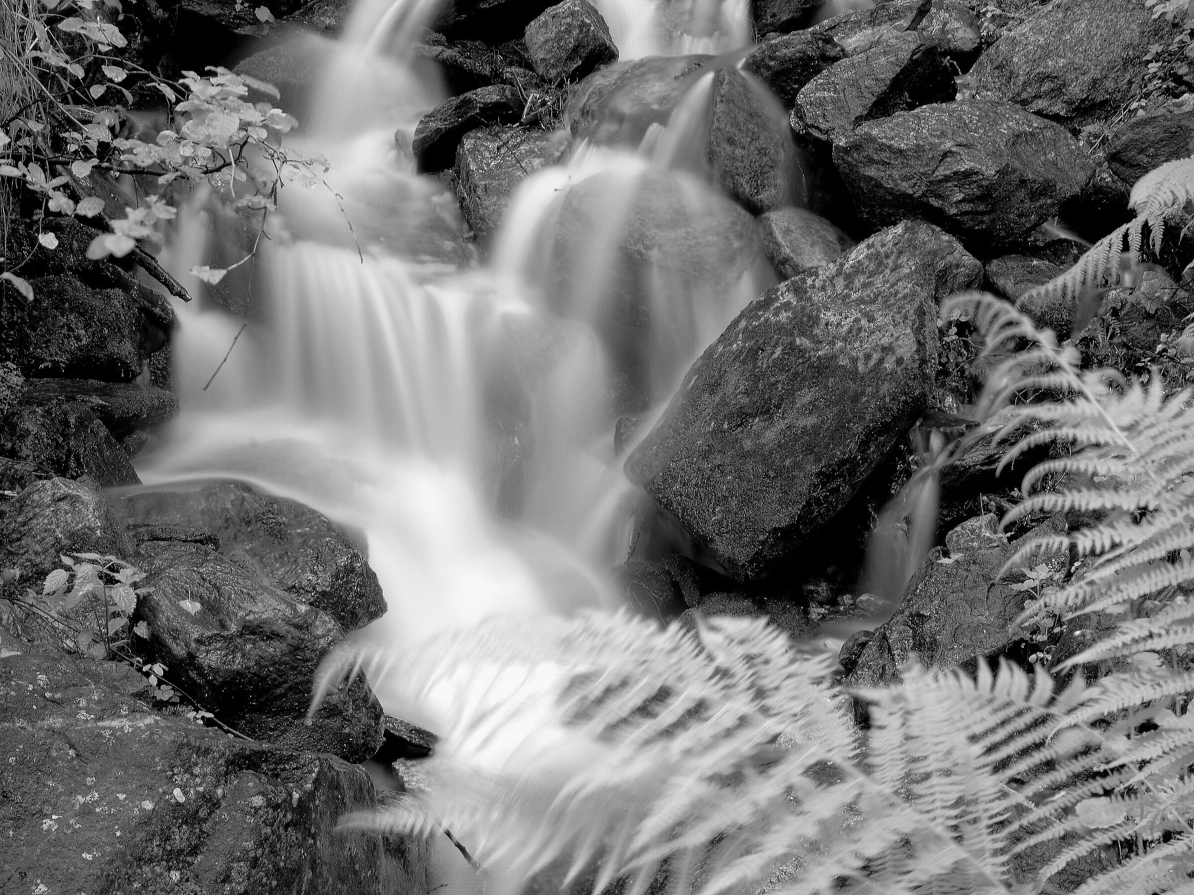 Streamlined water