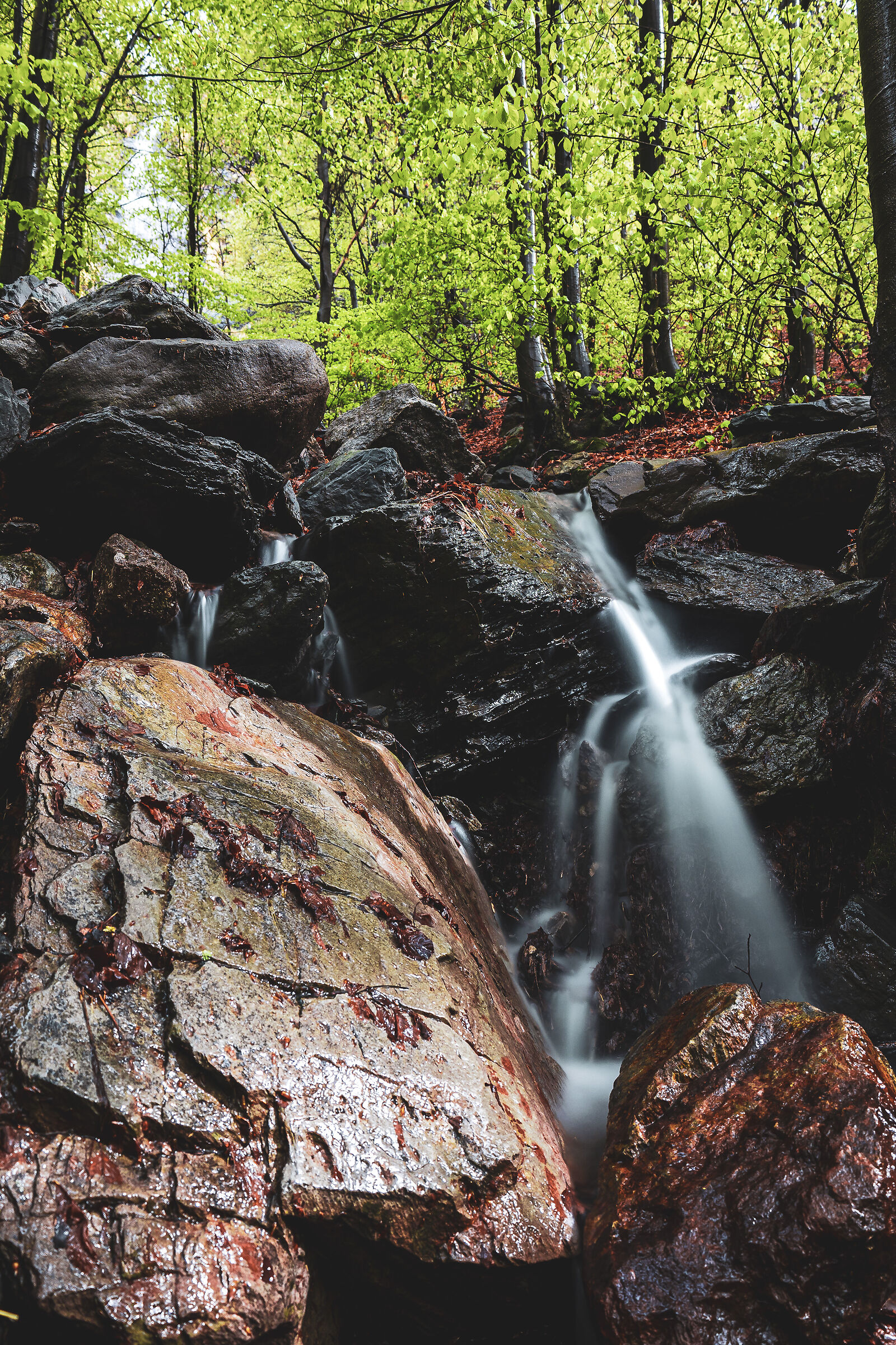 stream in the green