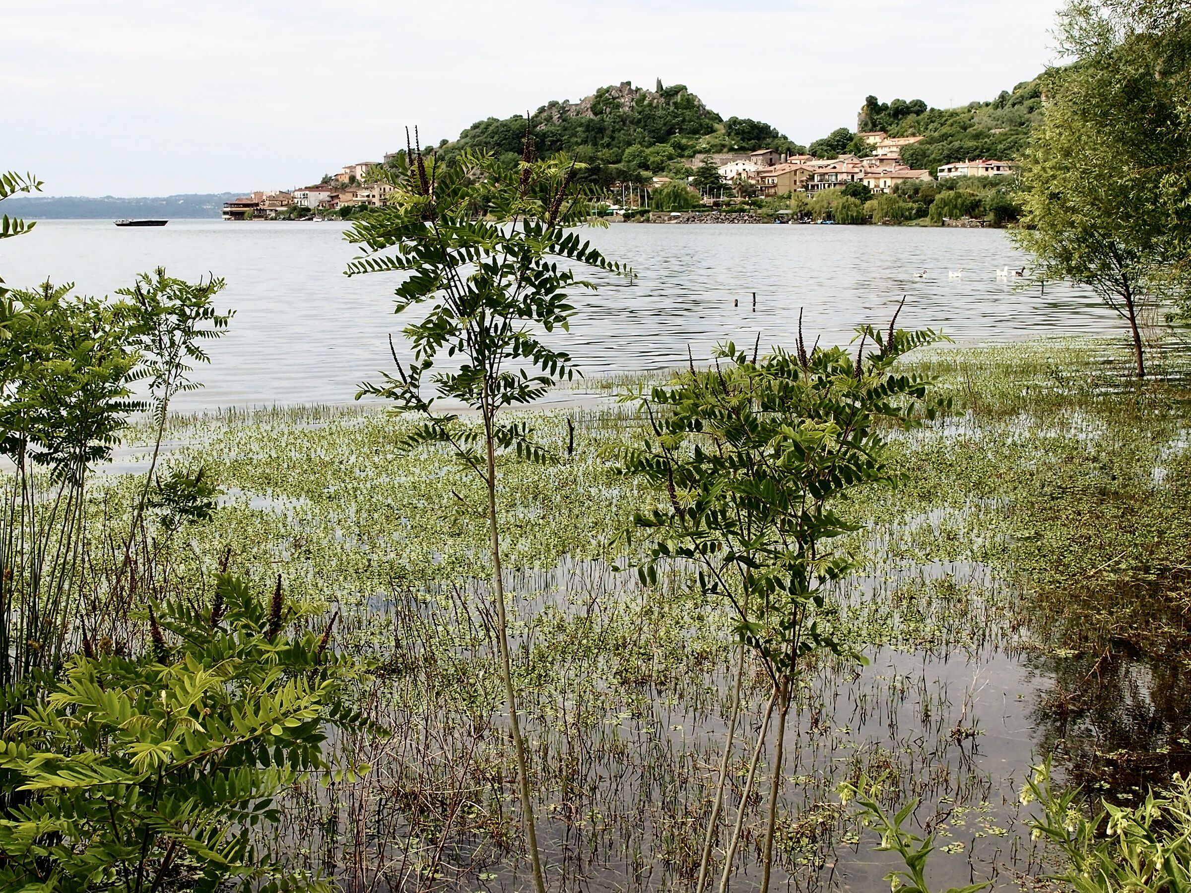 Lake Trevignano