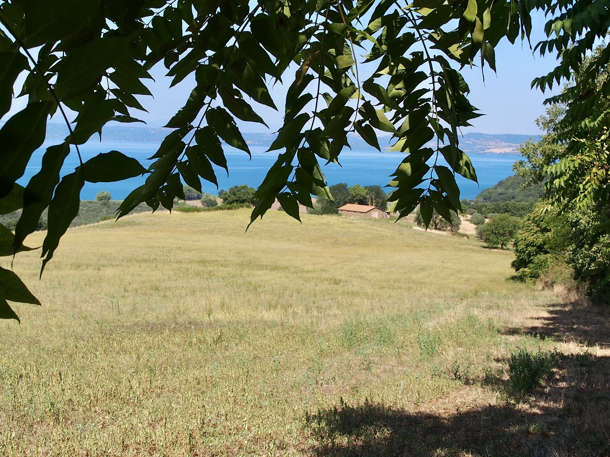 Lake Trevignano