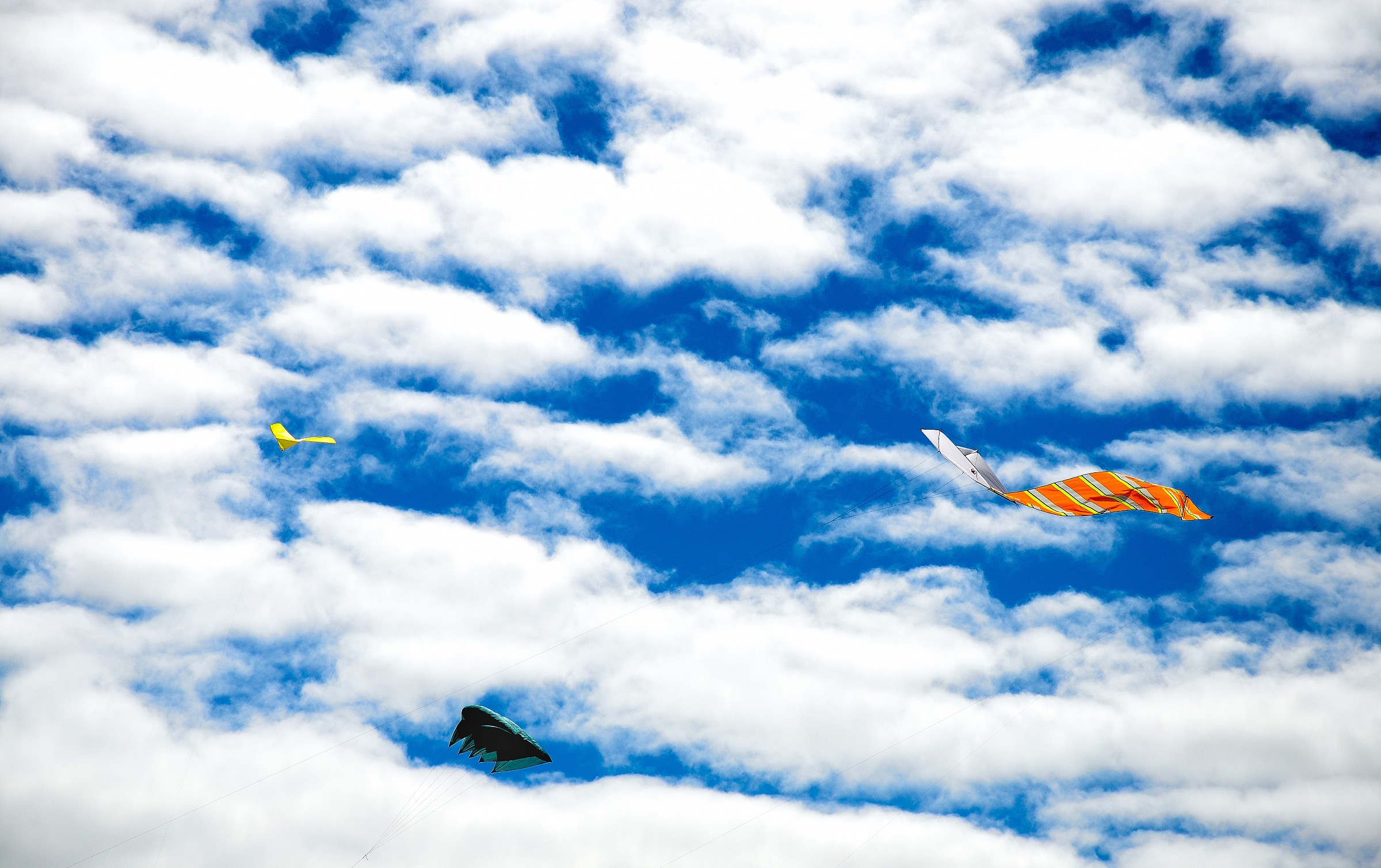 Rosolina (ro) - Feast of the Wind