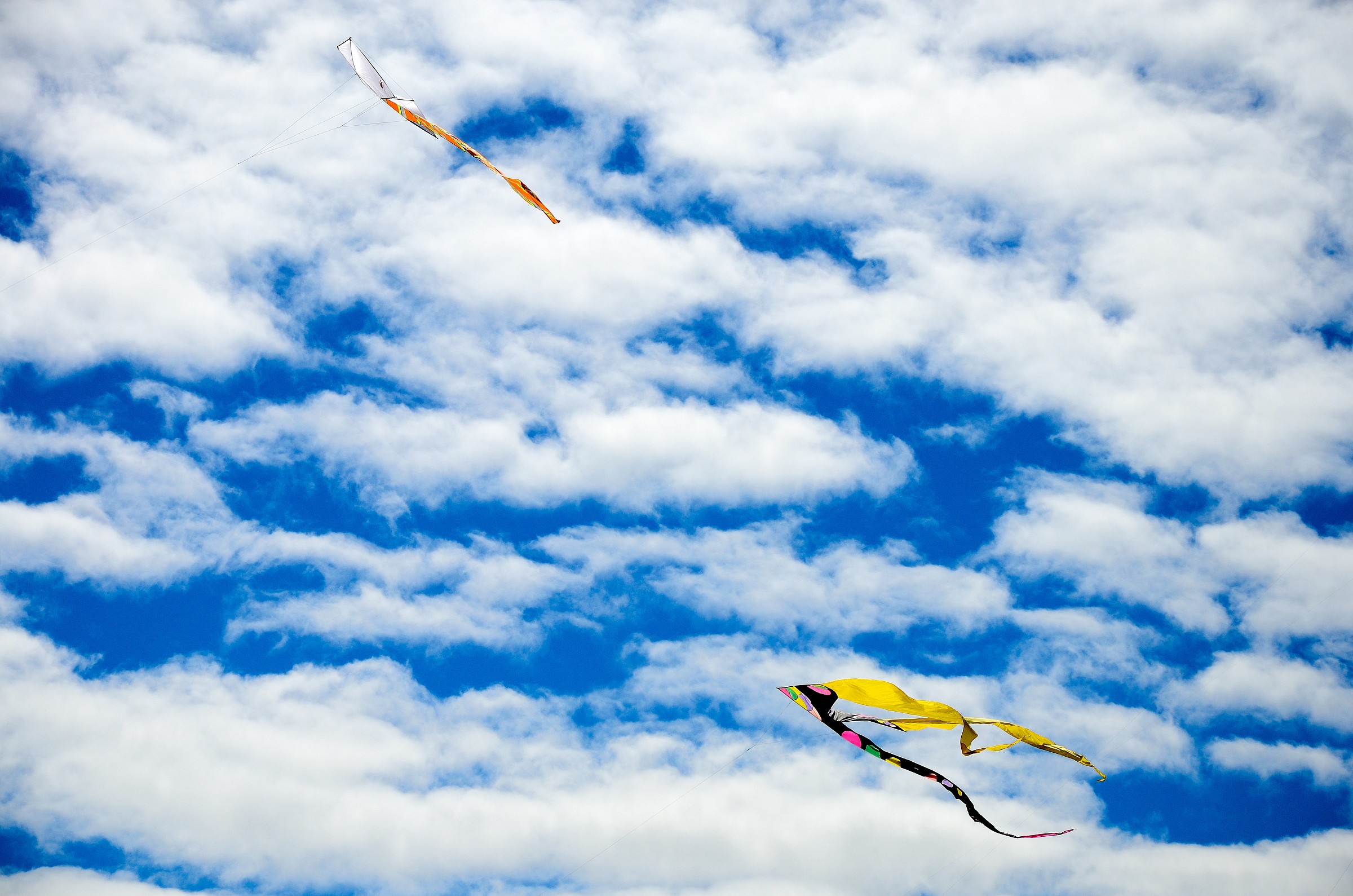 Rosolina (ro) - Feast of the Wind